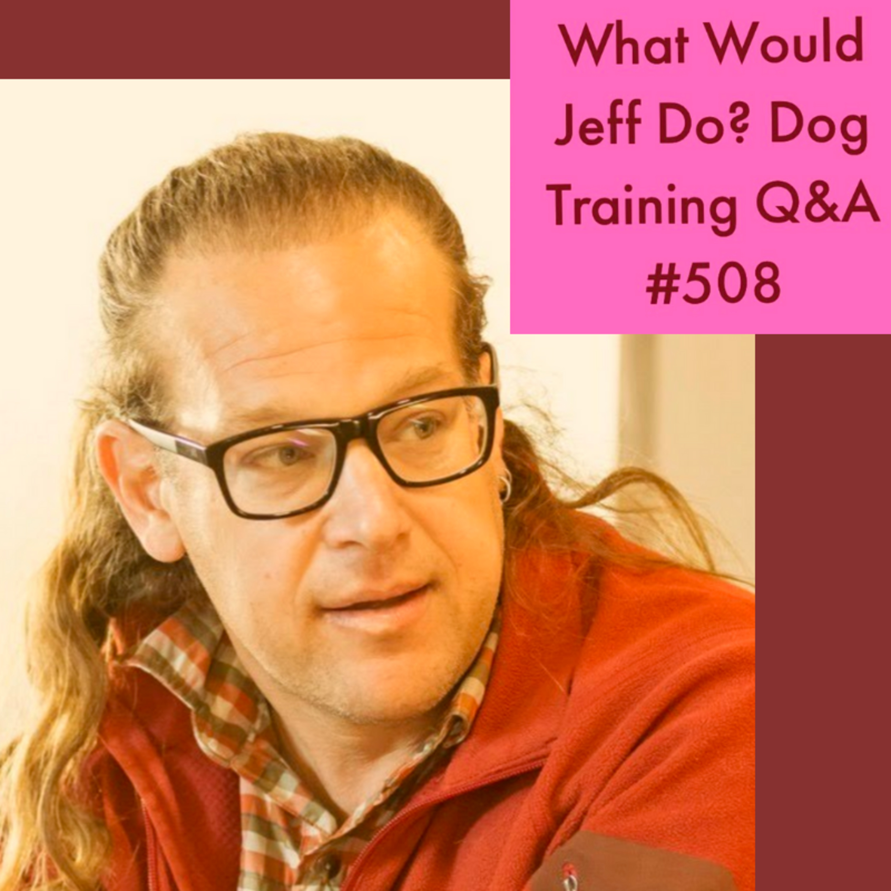 Stop a Dog Following You Around | Motivating your dog | What Would Jeff Do? Dog Training Q & A #508 episode artwork