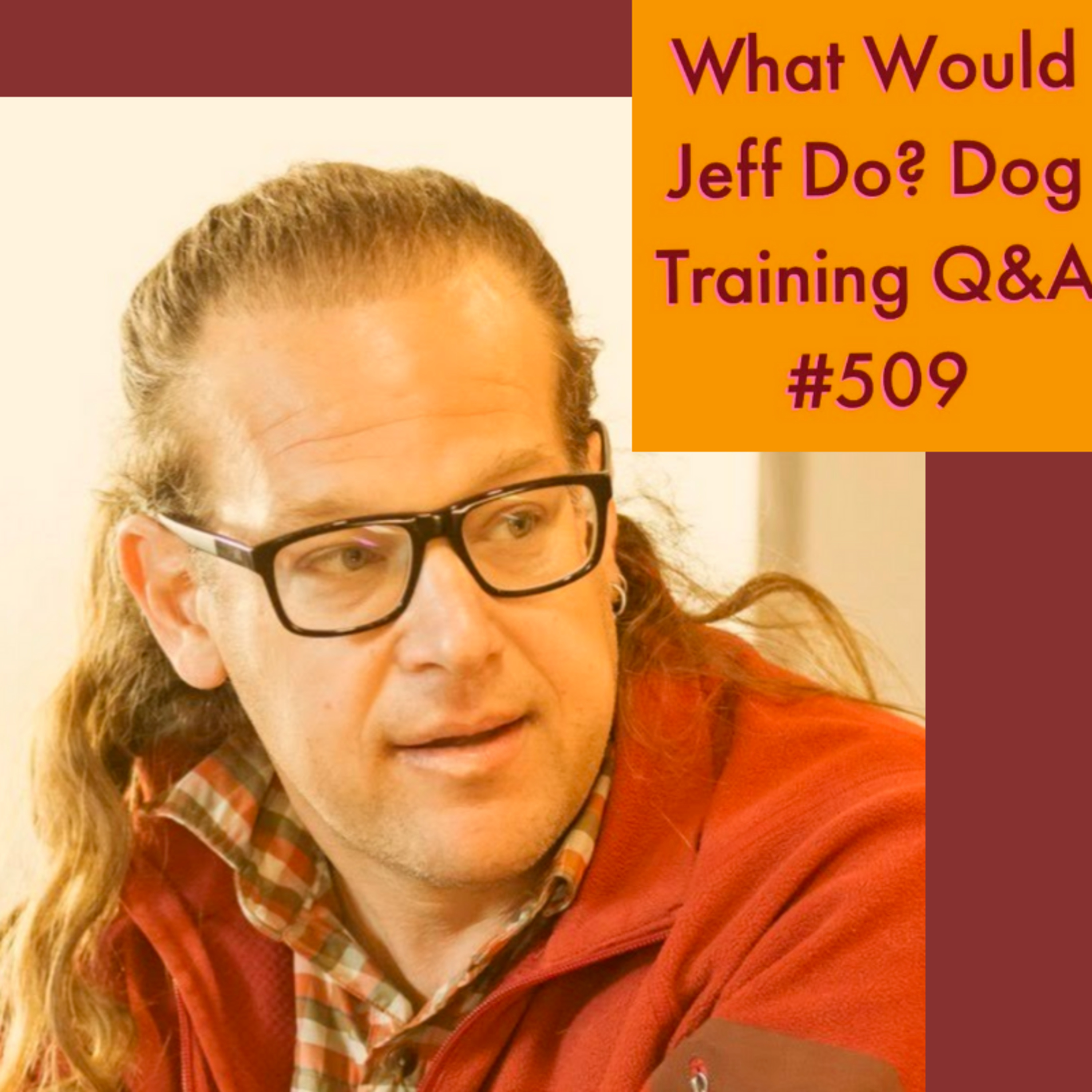 Training a skittish dog | Calming a dog that barks | What Would Jeff Do? Dog Training Q & A #509 episode artwork