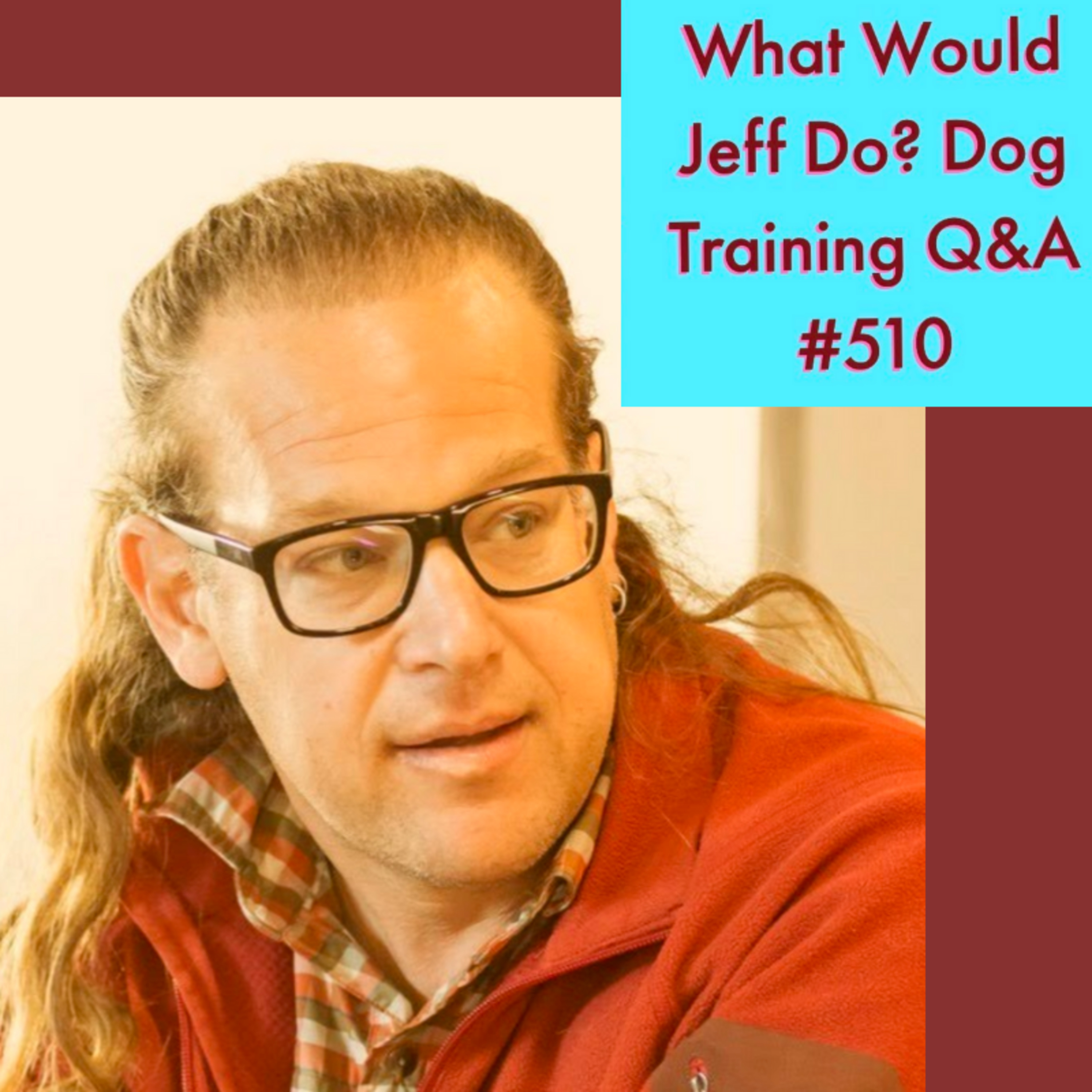 Stop dog from snapping | Dog freaks out fireworks | What Would Jeff Do? Dog Training Q & A #510 episode artwork