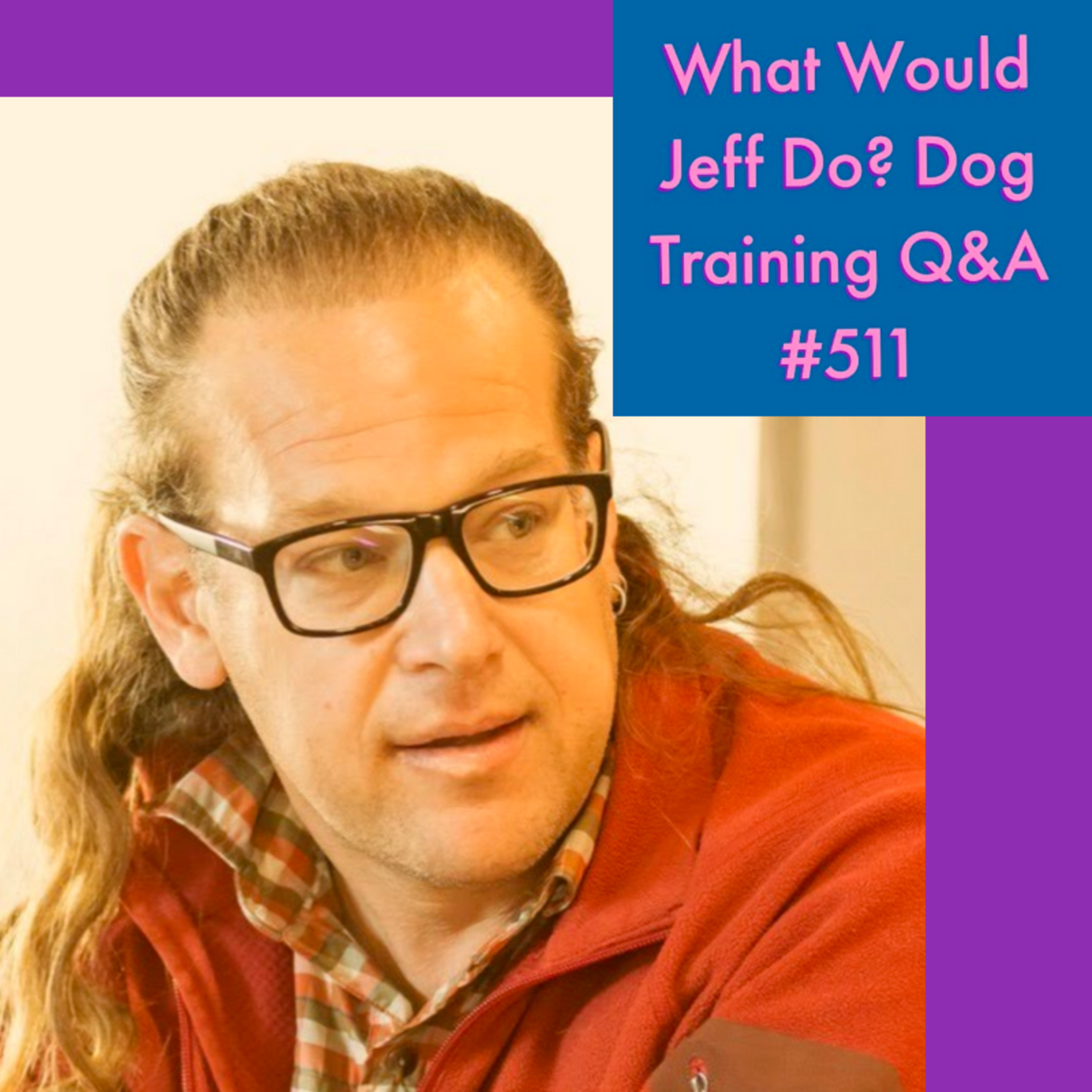 Stop dog from chewing crate | Dog pulls on leash | What Would Jeff Do? Dog Training Q & A #511 episode artwork