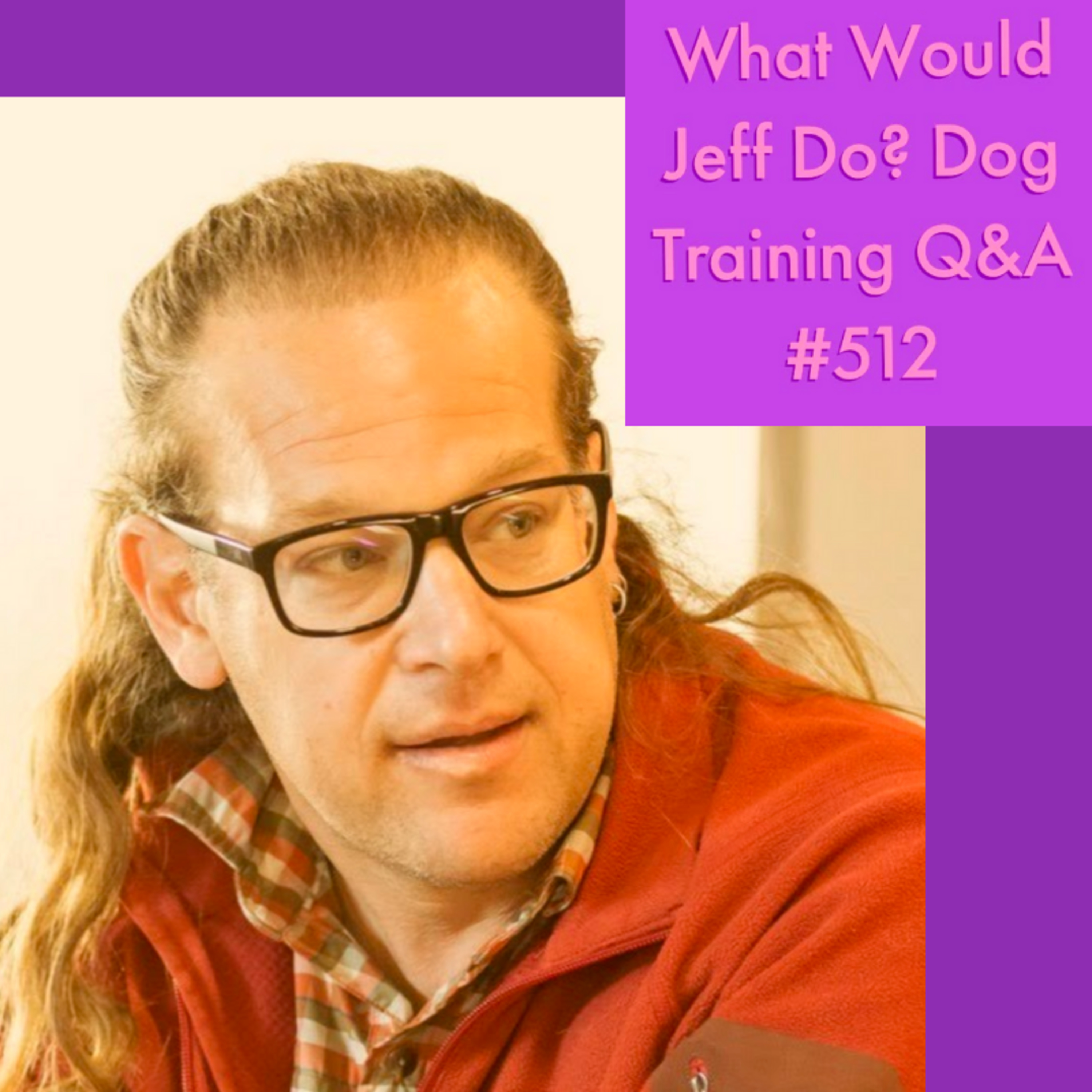 Dogs structured routine | Stop Dog aggression | What Would Jeff Do? Dog Training Q & A #512 episode artwork