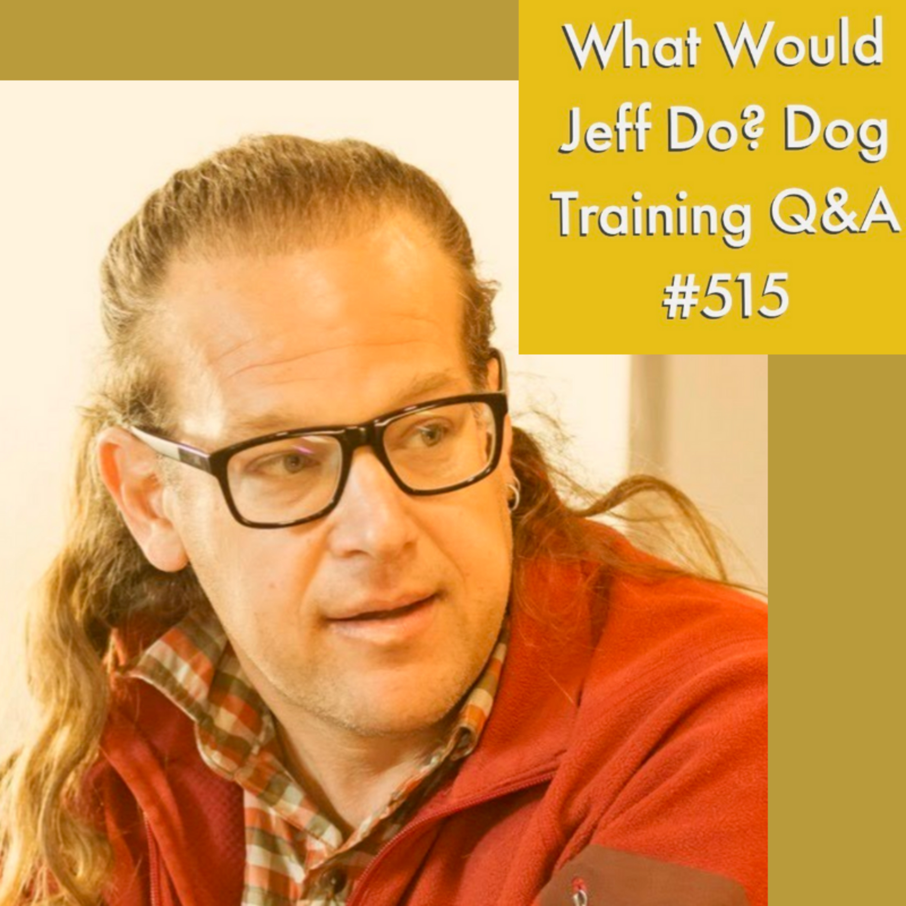 Dog bites when excited | Socializing a dog | What Would Jeff Do? Dog Training Q & A #515 episode artwork