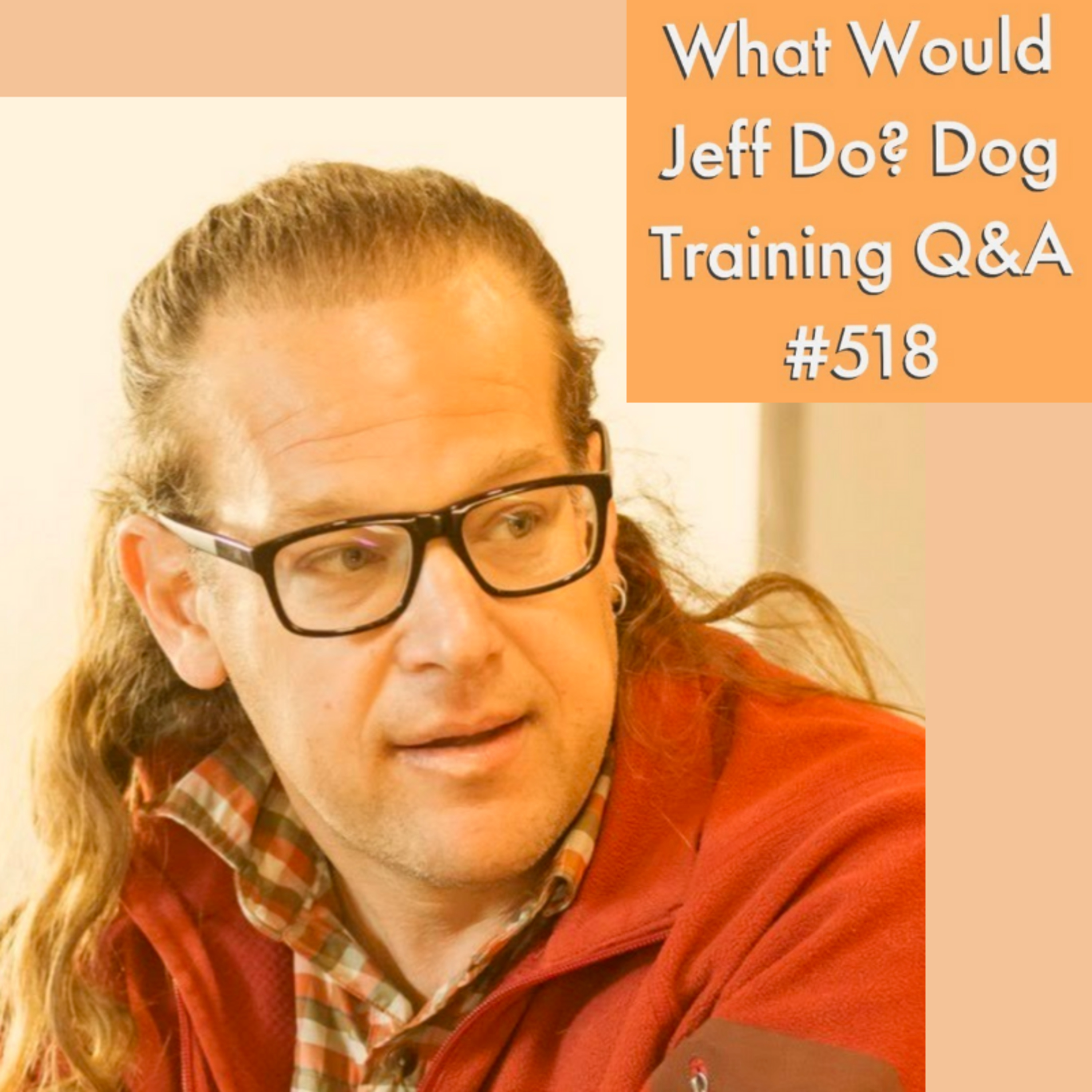 Stop fence Jumping | Stop leash reactivity in dog | What Would Jeff Do? Dog Training Q & A #518 episode artwork