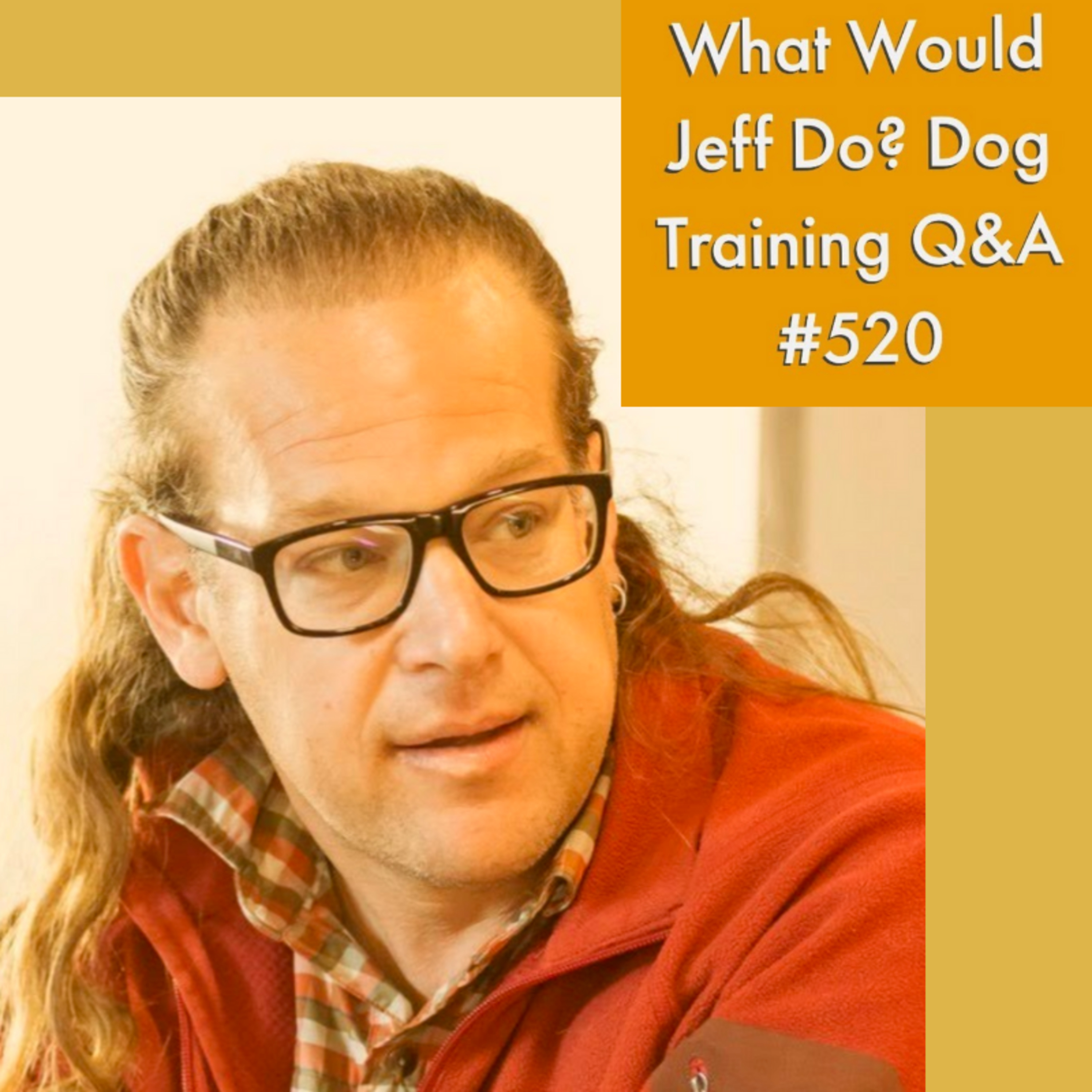 Dogs and loud noises | Calm an overexcited dog | What Would Jeff Do? Dog Training Q & A #520 episode artwork