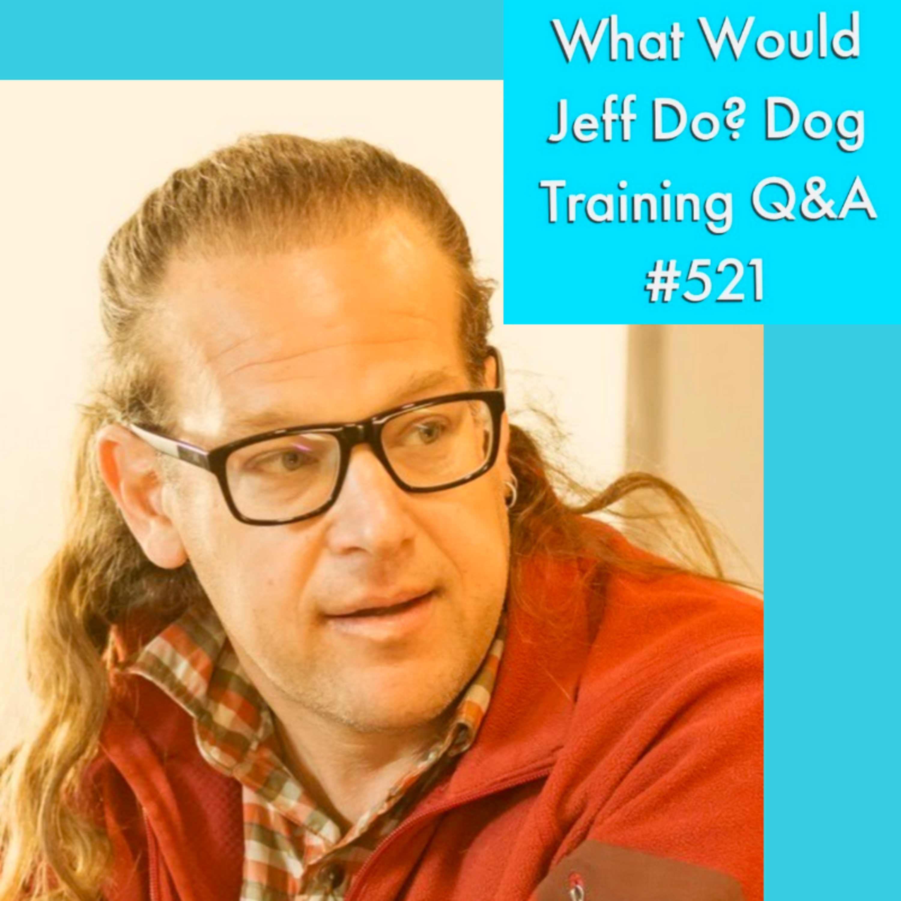 Teaching a dog Down | Dogs that Alligator Roll | What Would Jeff Do? Dog Training Q & A #521 episode artwork