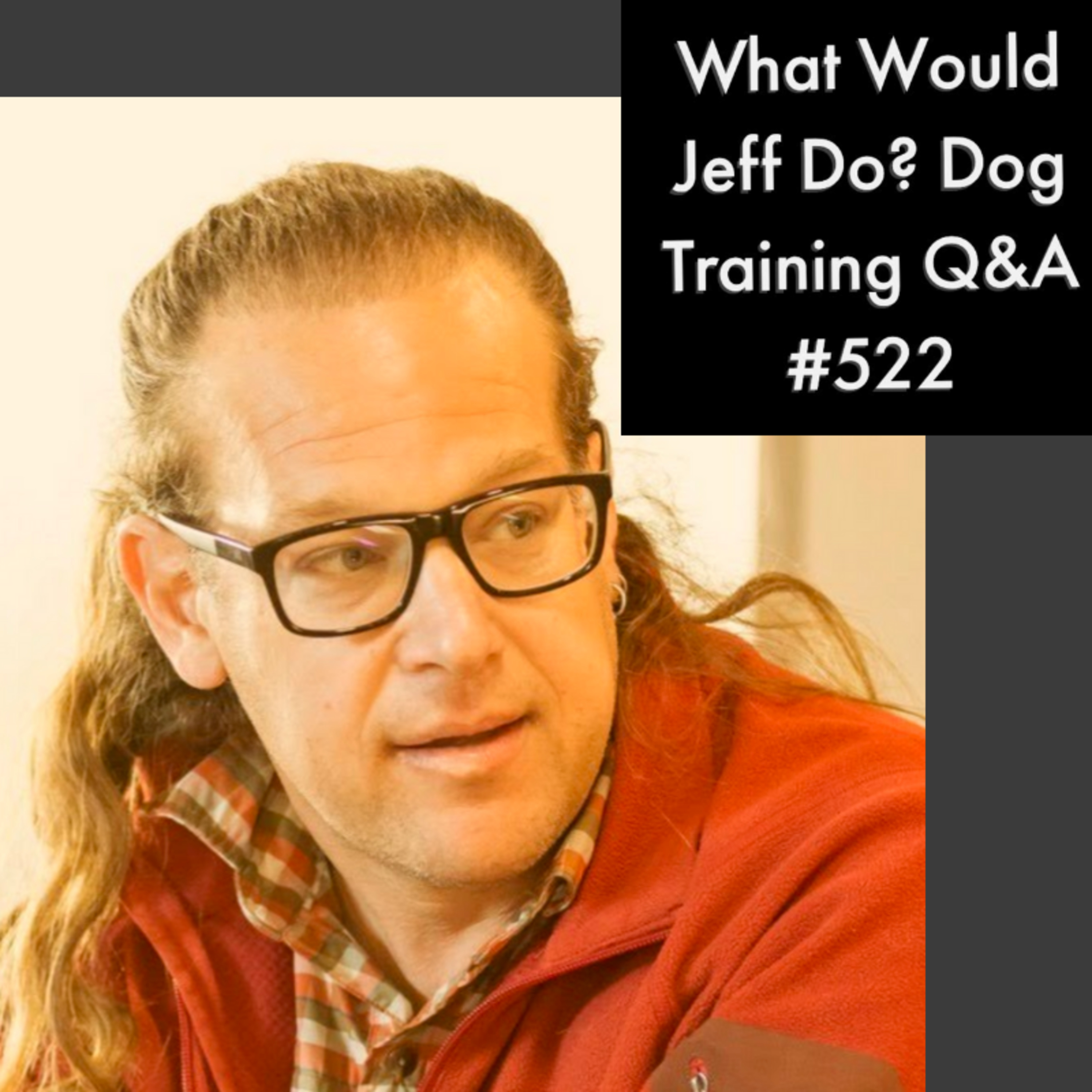 Stop dog barking | Training a stubborn dog | What Would Jeff Do? Dog Training Q & A #522 episode artwork