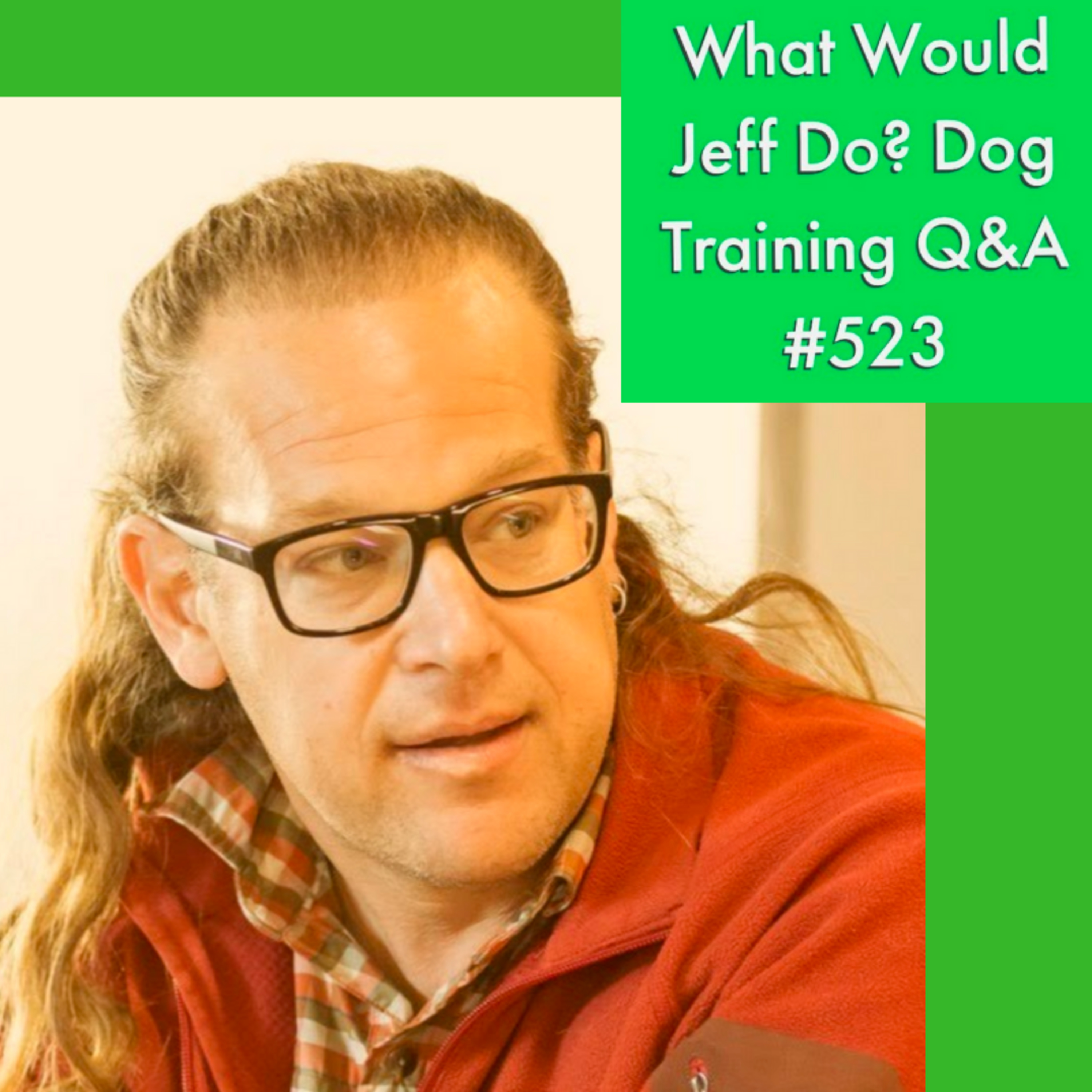 Kennel up your Dog | Training a Needy Dog | What Would Jeff Do? Dog Training Q & A #523 episode artwork