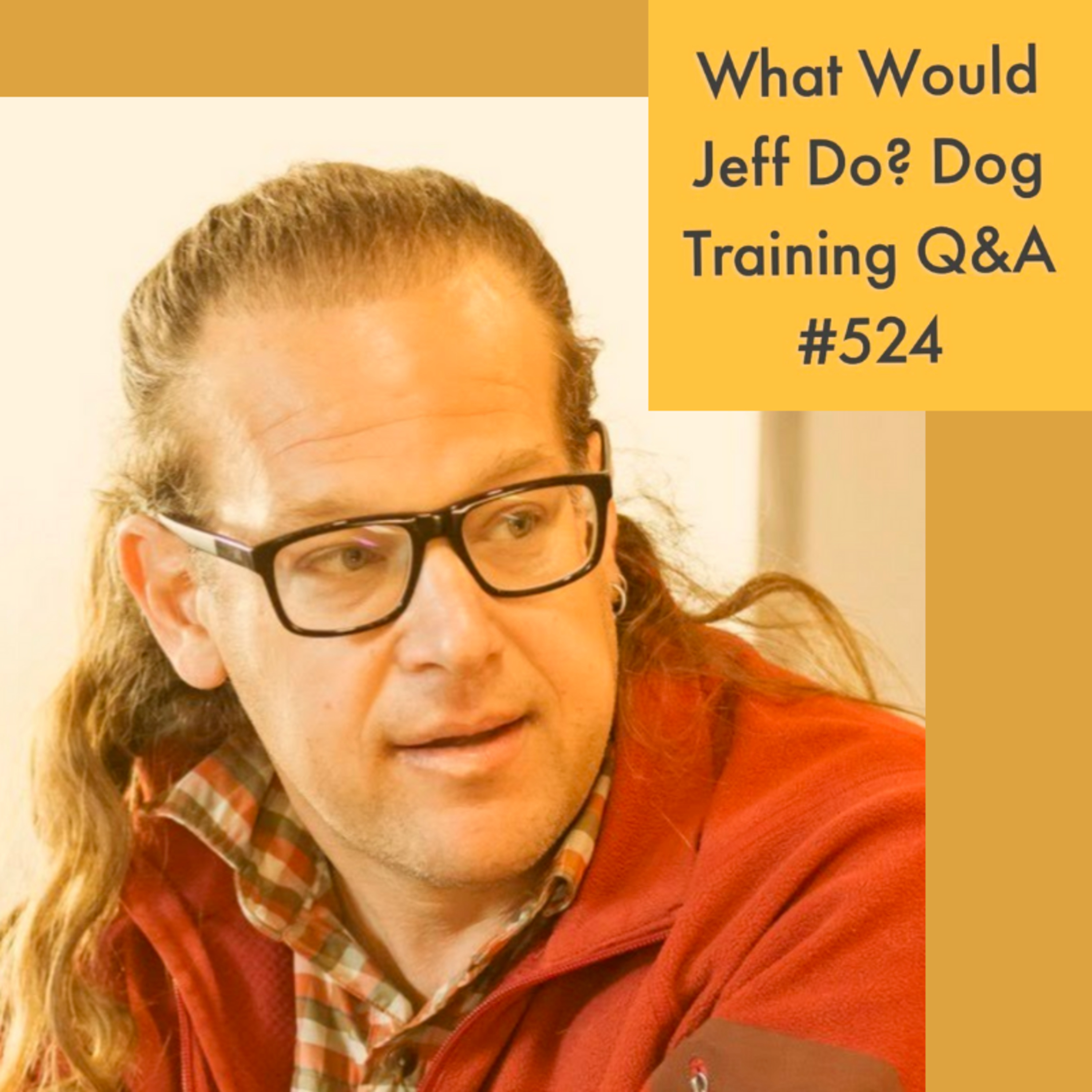 Stop dog barking | Training Aggressive Dogs | What Would Jeff Do? Dog Training Q & A #524 episode artwork