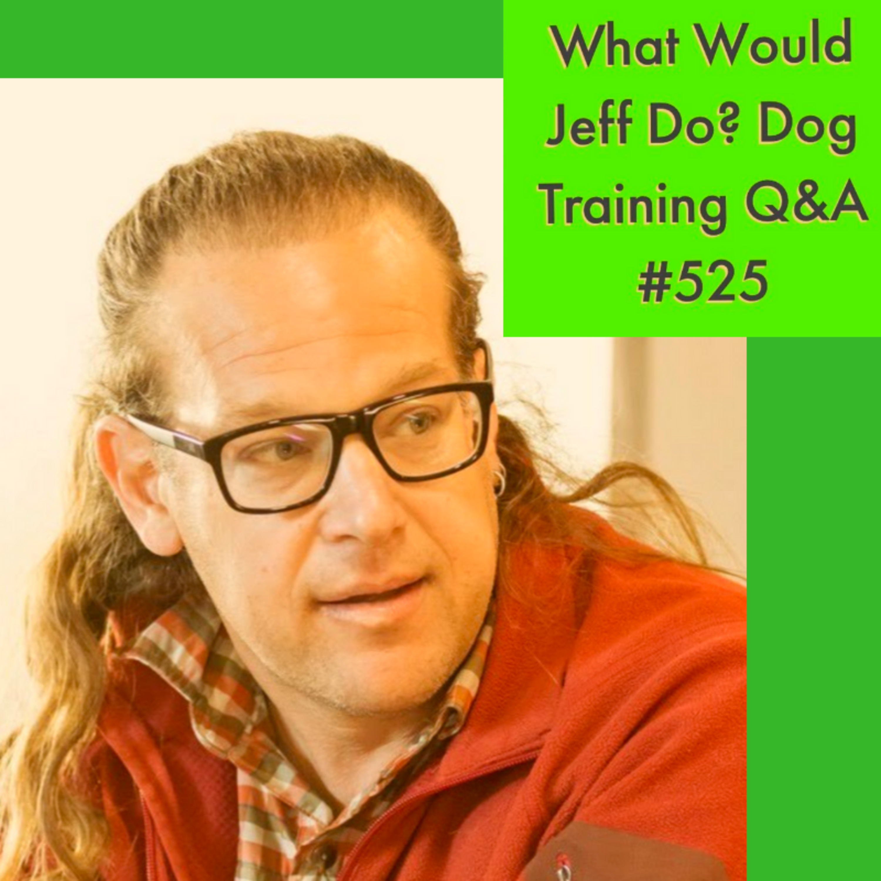 Traveling with dogs | Bonded Pair Dog Adoption | What Would Jeff Do? Dog Training Q & A #525 episode artwork