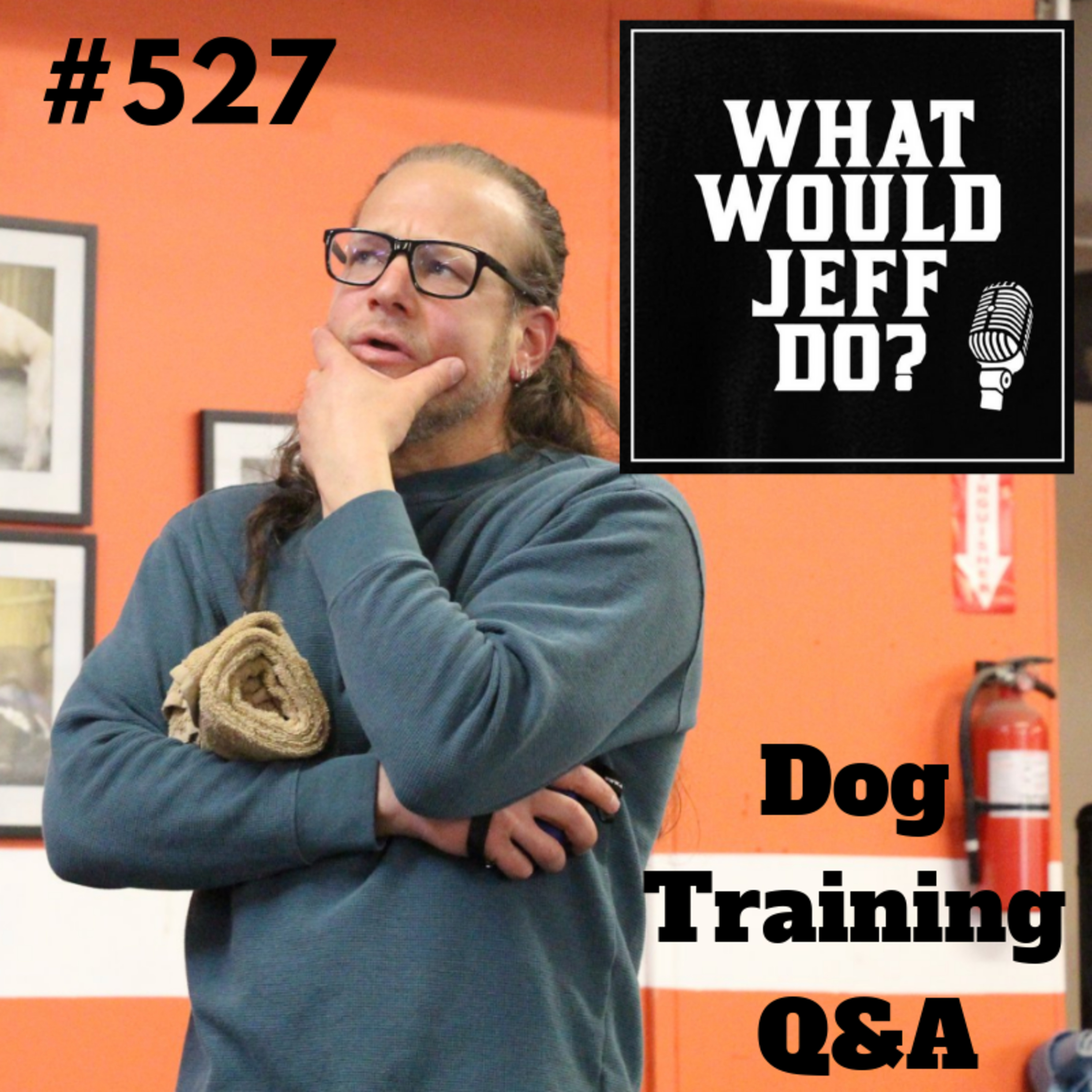 Teaching a puppy to heel | Tips for muzzling a dog | What Would Jeff Do? Dog Training Q & A #527 episode artwork
