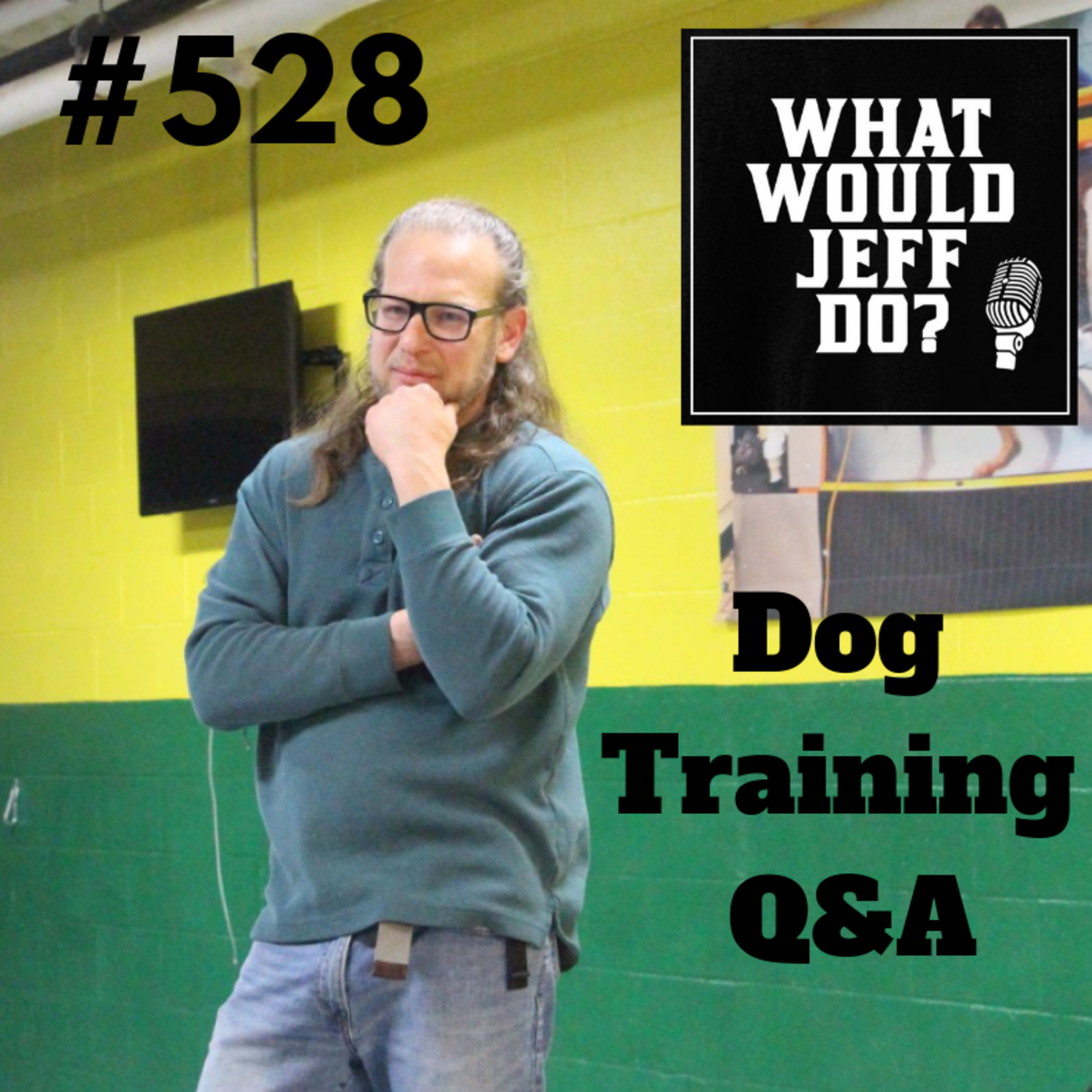 Clicker Training Dogs | Training Aggressive Dogs | What Would Jeff Do? Dog Training Q & A #528 episode artwork