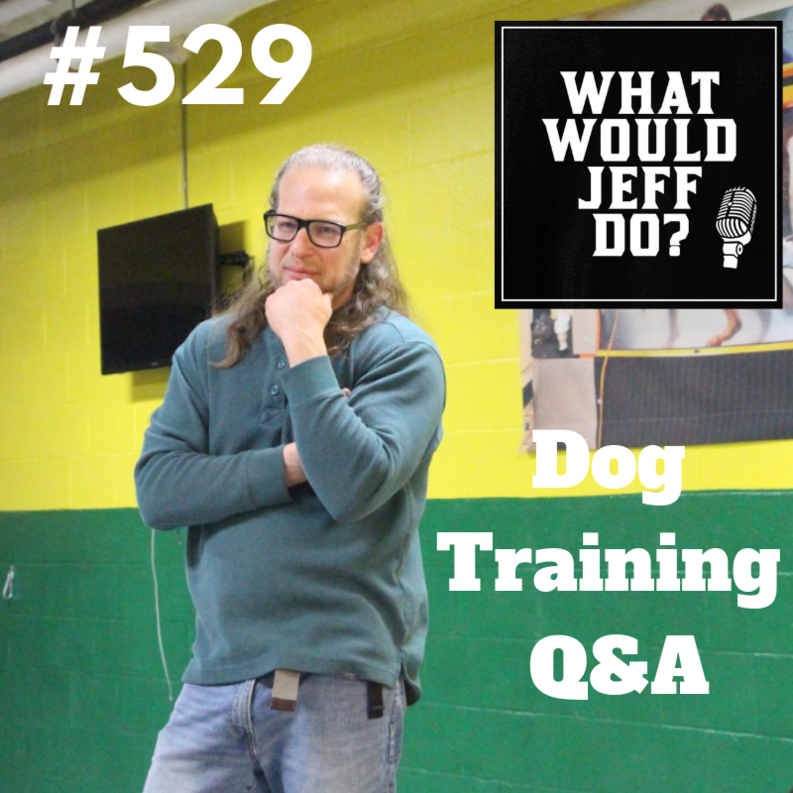Stop dog from Reacting | Dog is Possessive with Toys | What Would Jeff Do? Dog Training Q & A #529 episode artwork