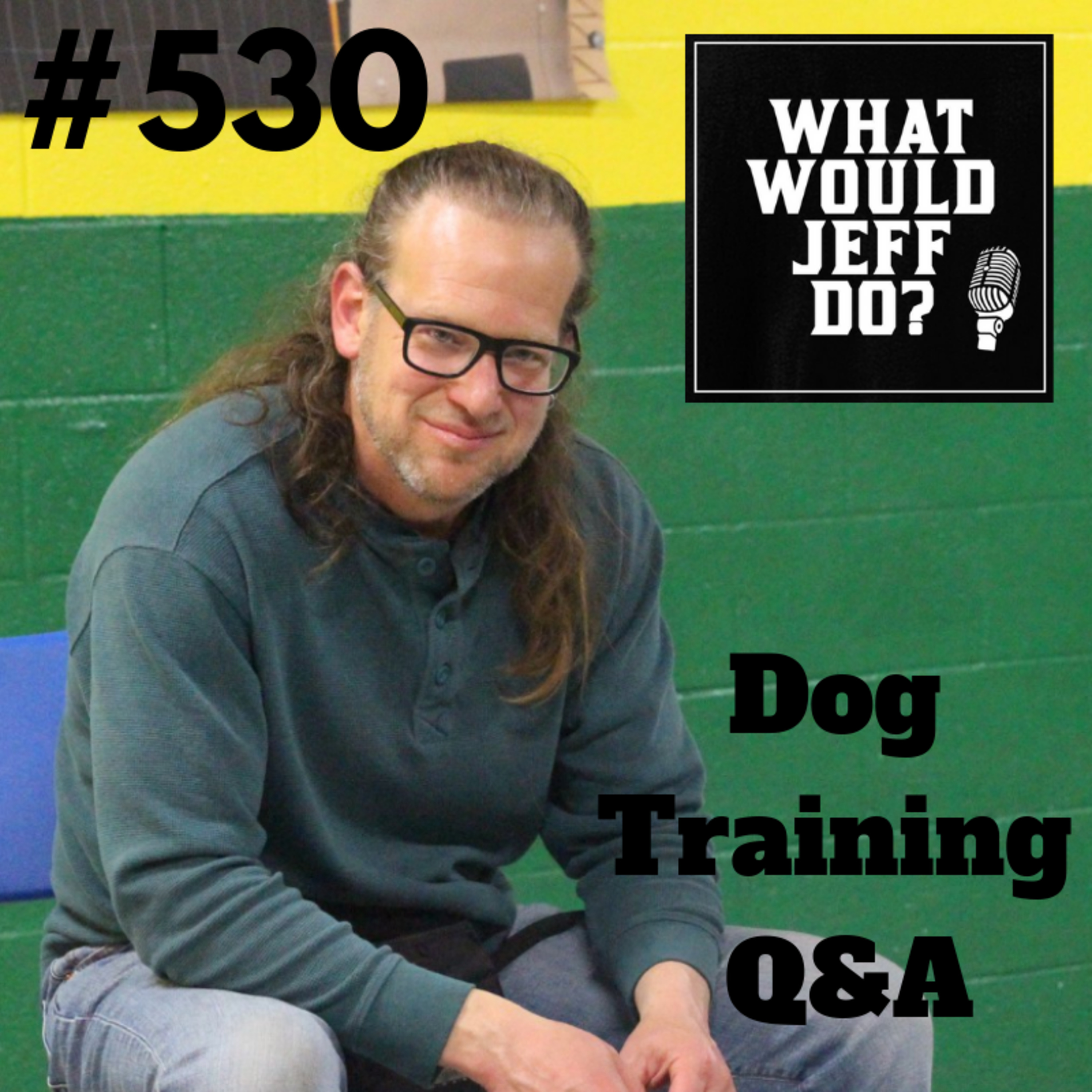 Getting a Second Dog | Stop Dog Humping | What Would Jeff Do? Dog Training Q & A #530 episode artwork