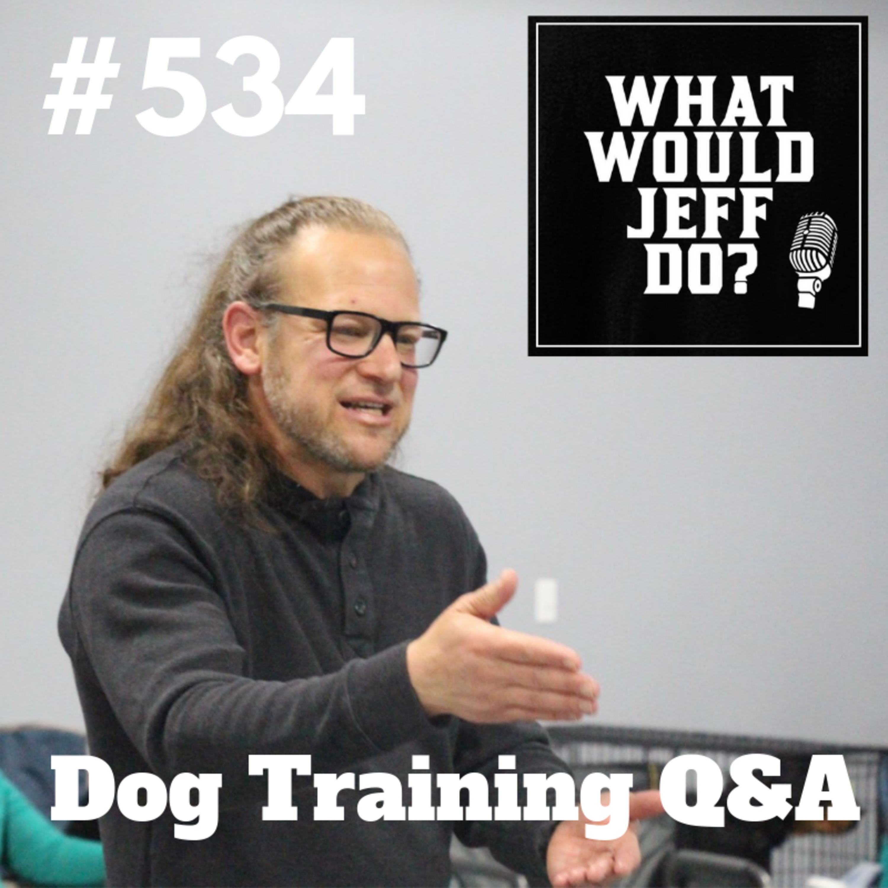 Stop Puppy Jumping | Training Fearful Dogs | What Would Jeff Do? Dog Training Q & A #534 episode artwork