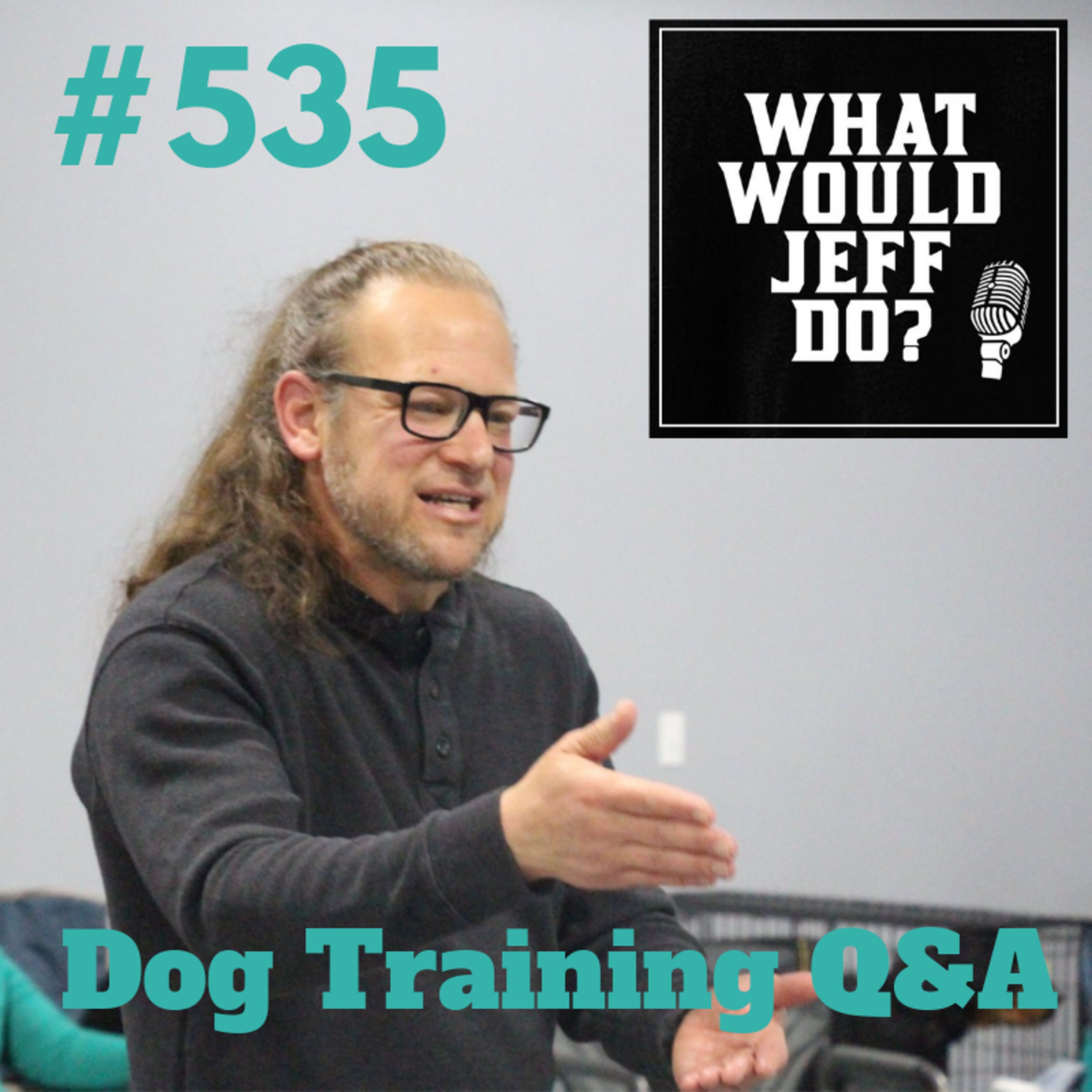 Stop dog whining | Puppy training tips | What Would Jeff Do? Dog Training Q & A #535 episode artwork