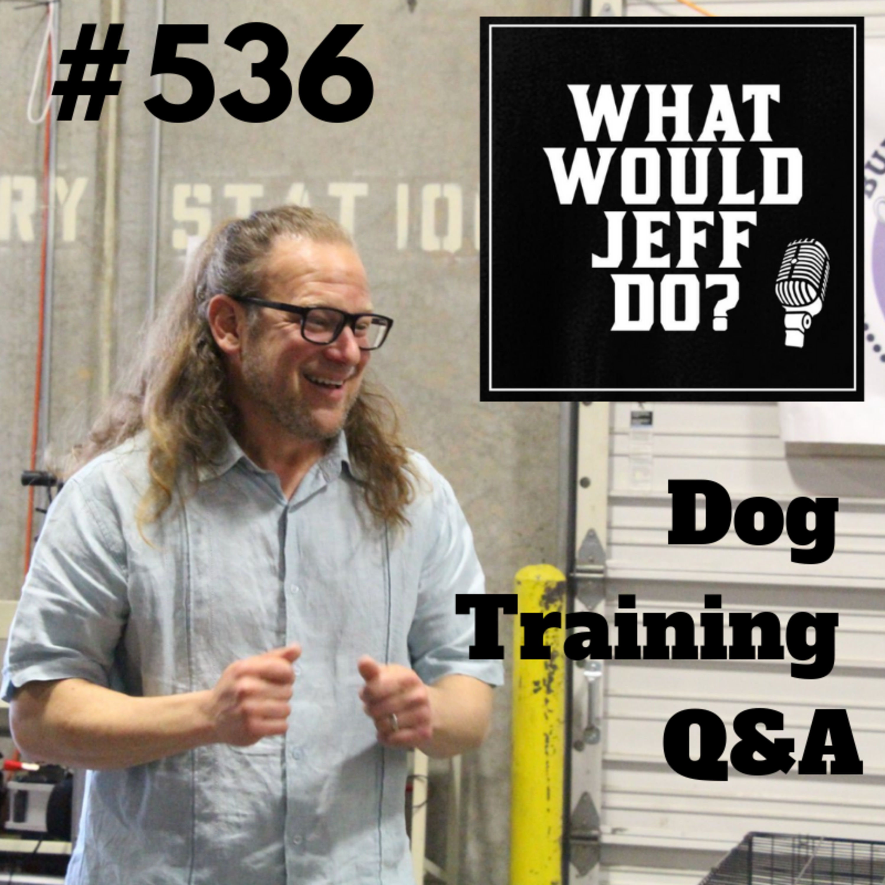Dog won't get in the Car | Socializing a puppy | What Would Jeff Do? Dog Training Q & A #536 episode artwork