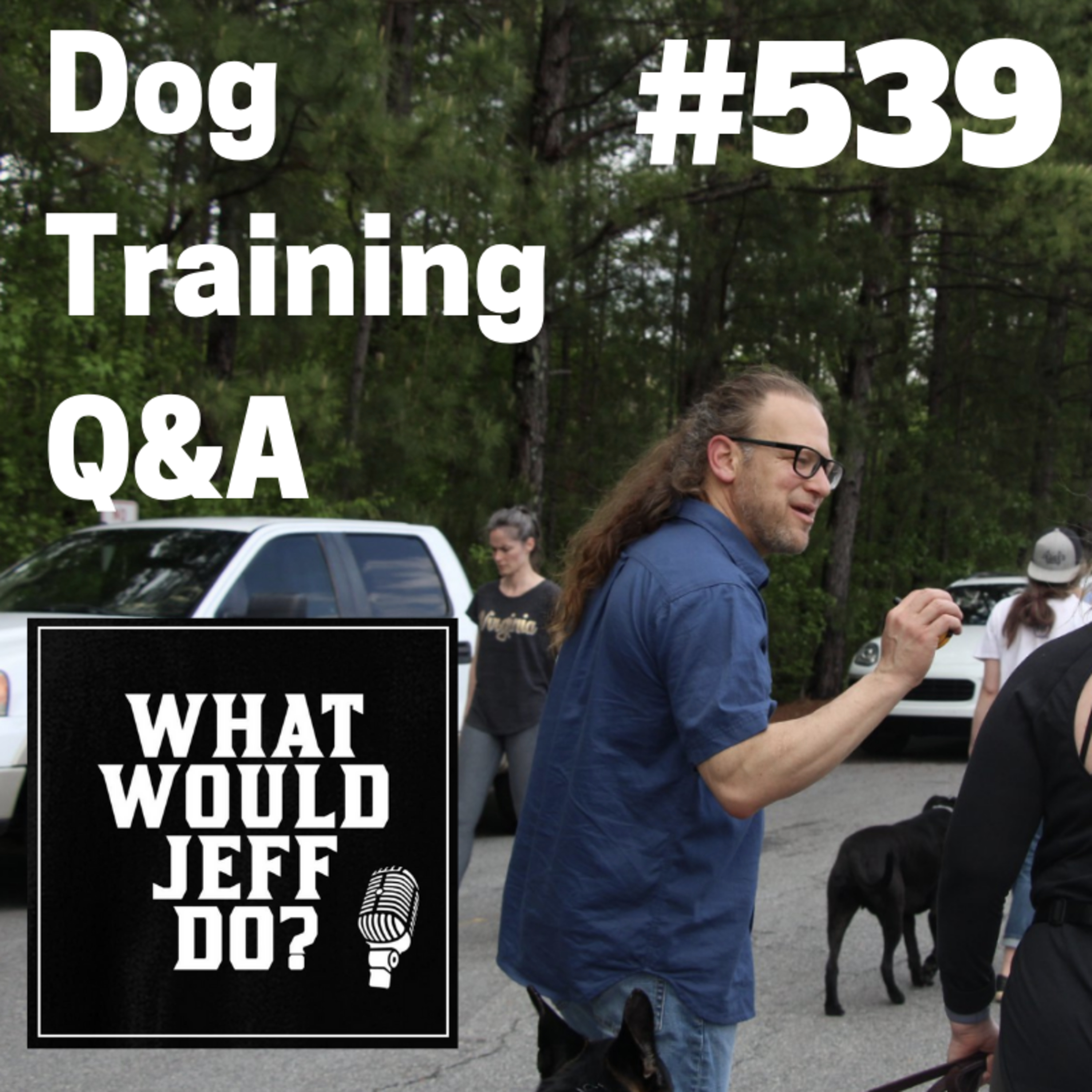 Dog food aggression | Dogs and Separation Anxiety | What Would Jeff Do? Dog Training Q & A #539 episode artwork