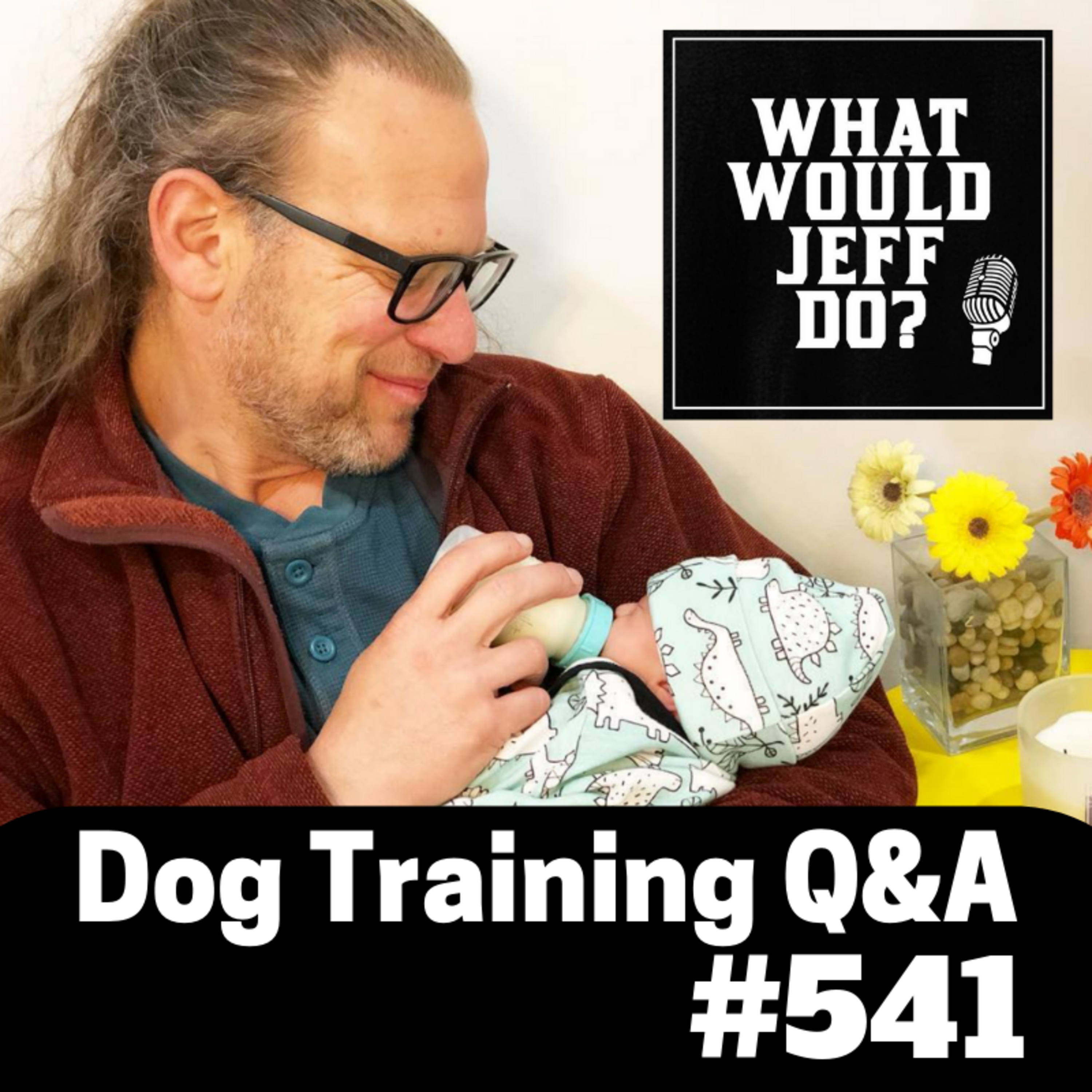 Fighting Dogs | Dog poops on the Bed | What Would Jeff Do? Dog Training Q & A #541 episode artwork