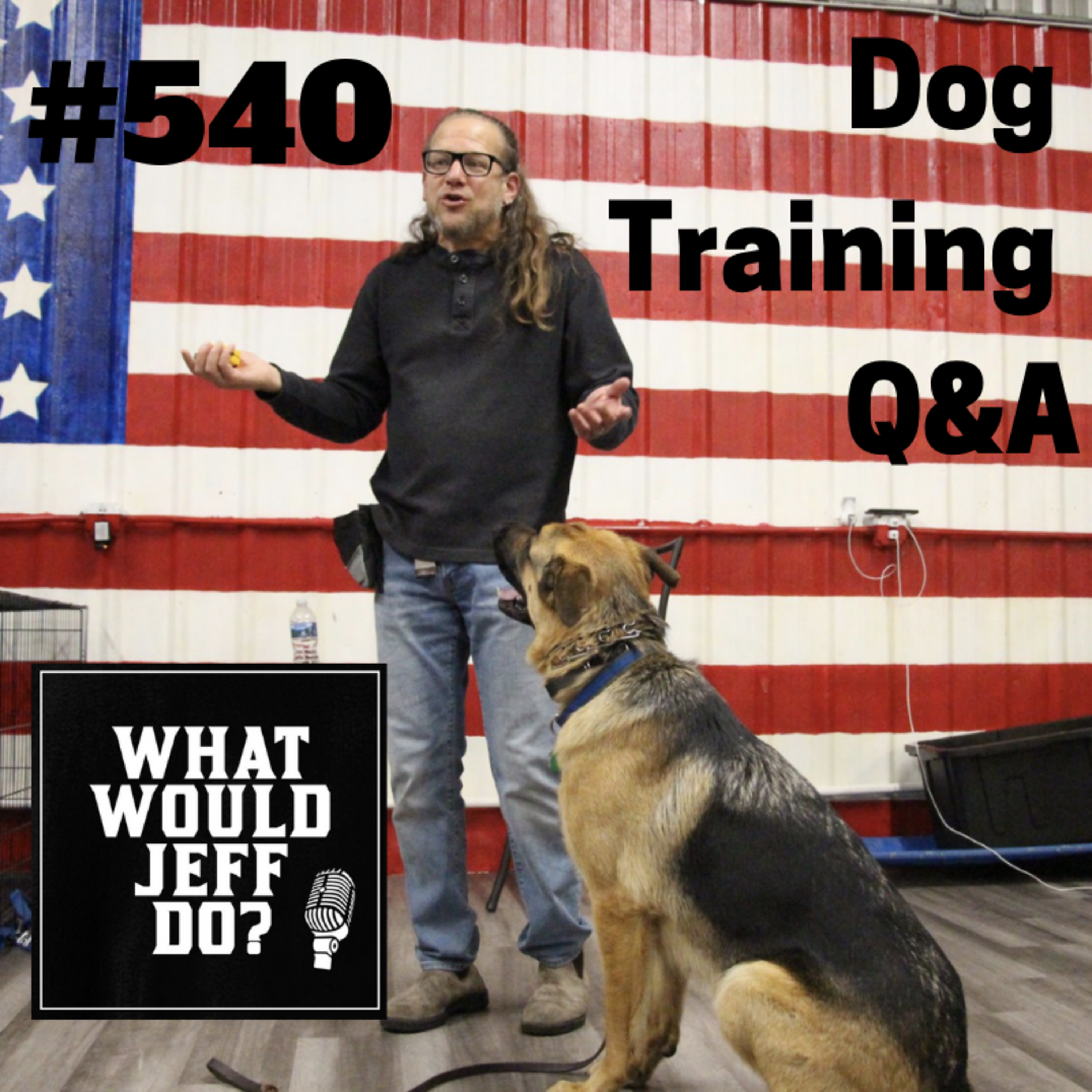 Training an Anxious Dog | Stop Biting | What Would Jeff Do? Dog Training Q & A #540 episode artwork
