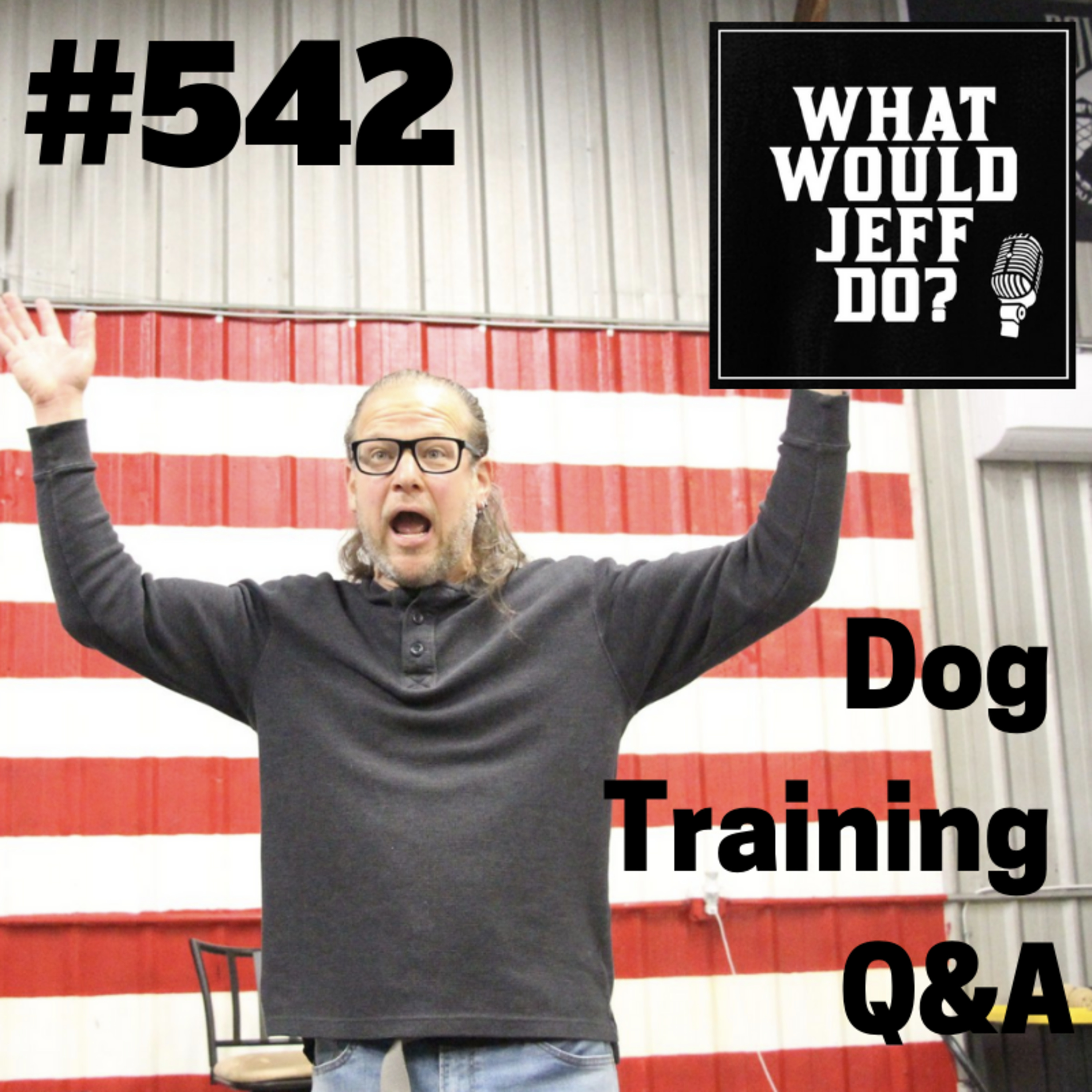 Puppy Training | Stop dog Growling | What Would Jeff Do? Dog Training Q & A #542 episode artwork