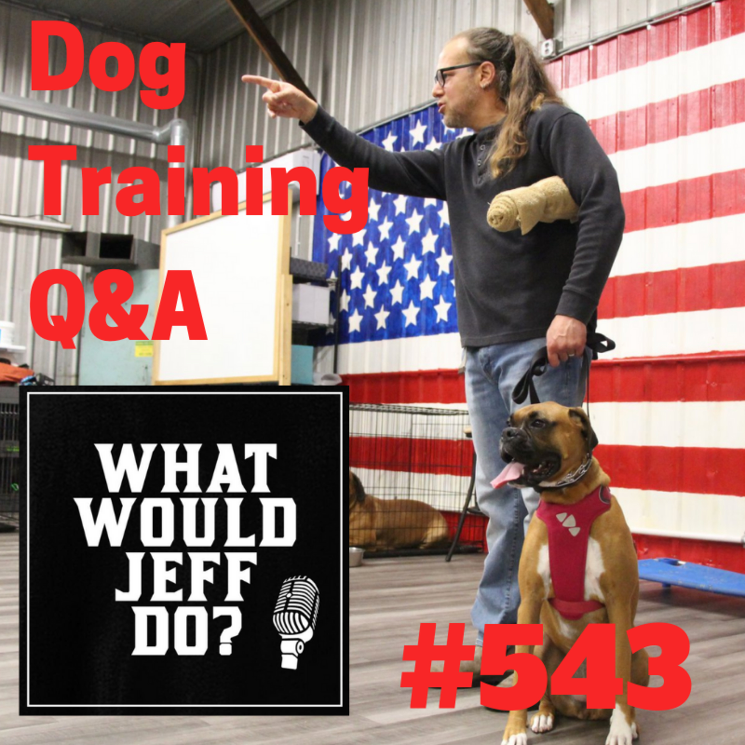 Stop a Dog from Licking | Crating Dogs | What Would Jeff Do? Dog Training Q & A #543 episode artwork