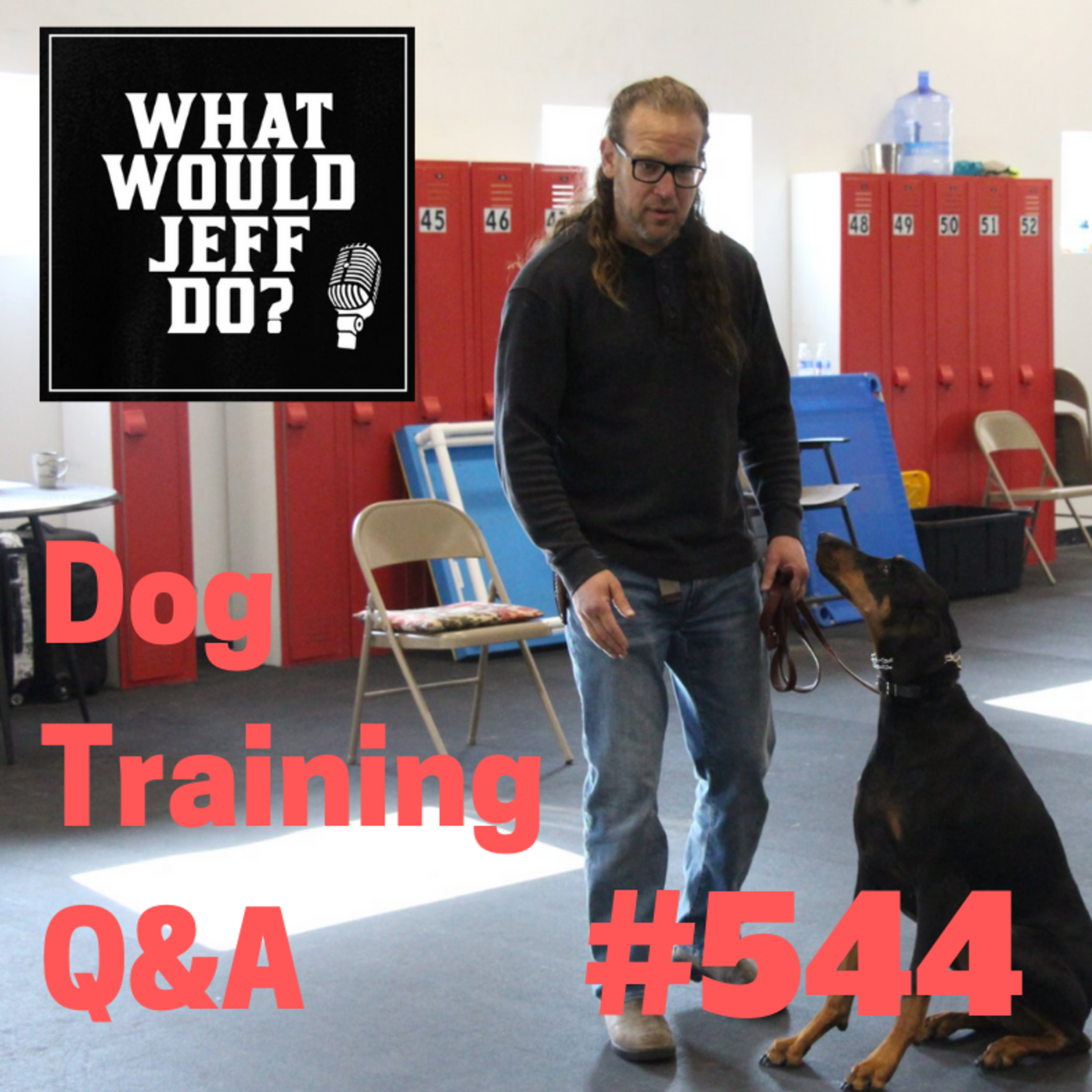 Getting a dog to swim | Stop Dog Barking | What Would Jeff Do? Dog Training Q & A #544 episode artwork