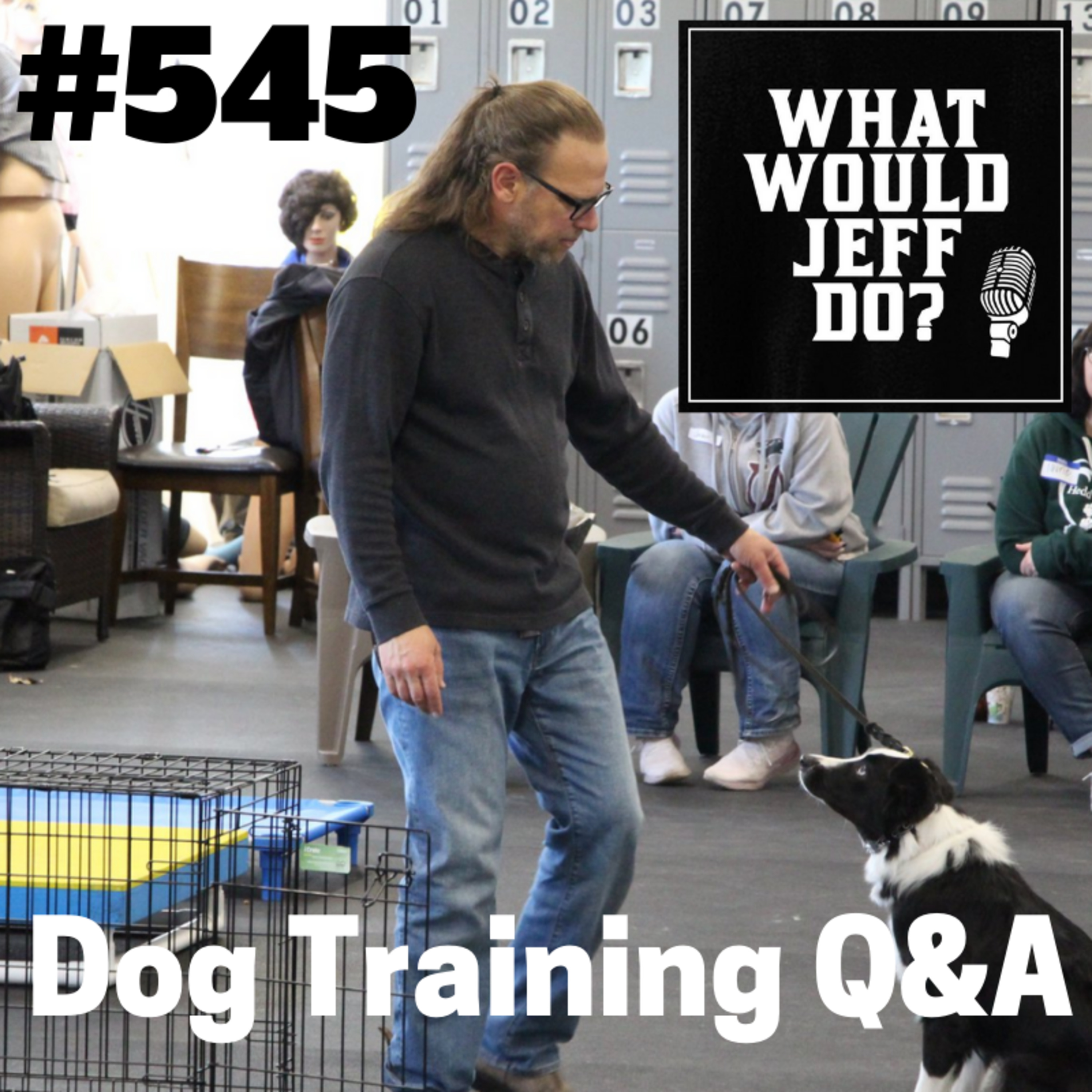 Teaching a Dog To Heel | Reactive Dogs | What Would Jeff Do? Dog Training Q & A #545 episode artwork