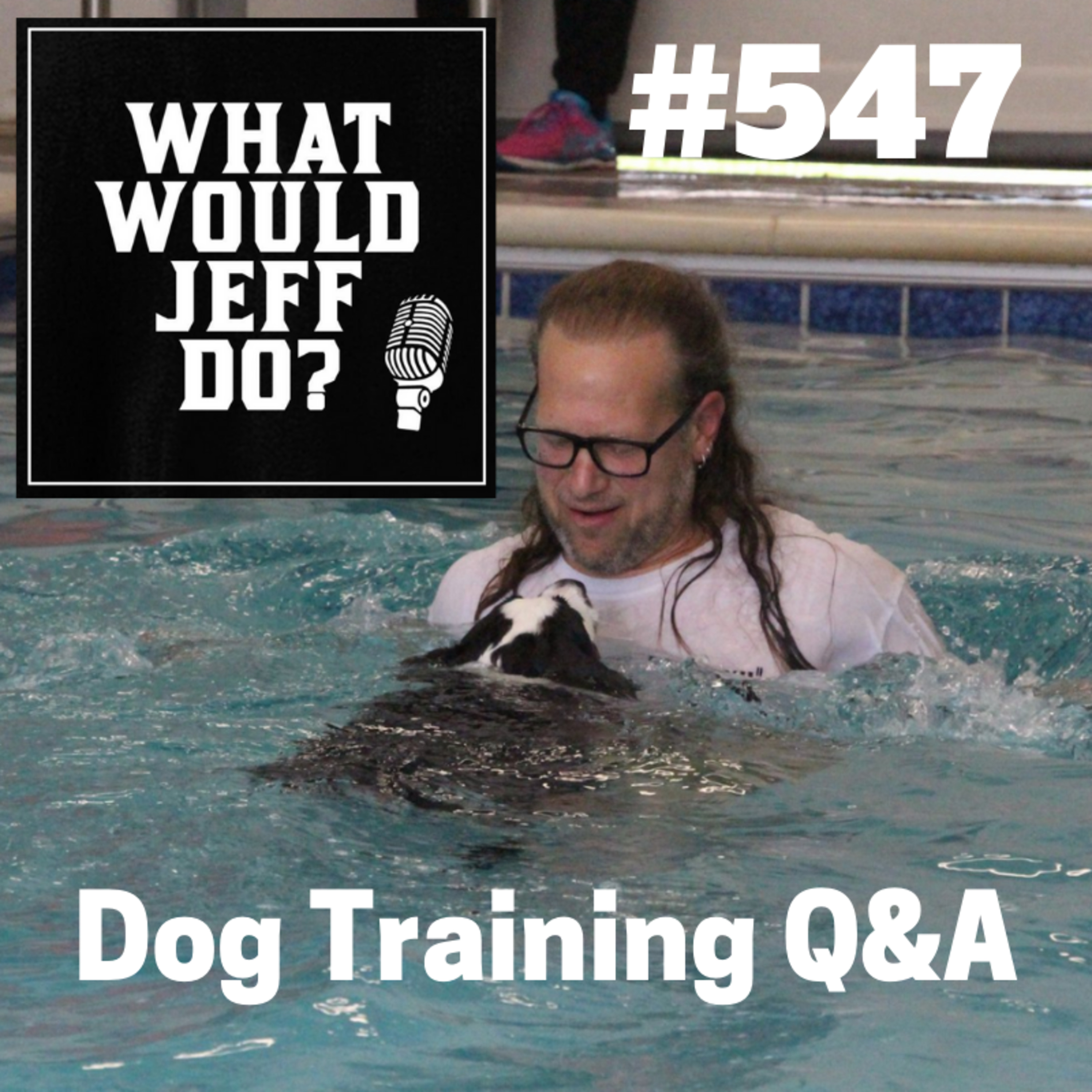 Stop Dog Jumping | Dog attacks Strangers | What Would Jeff Do? Dog Training Q & A #547 episode artwork