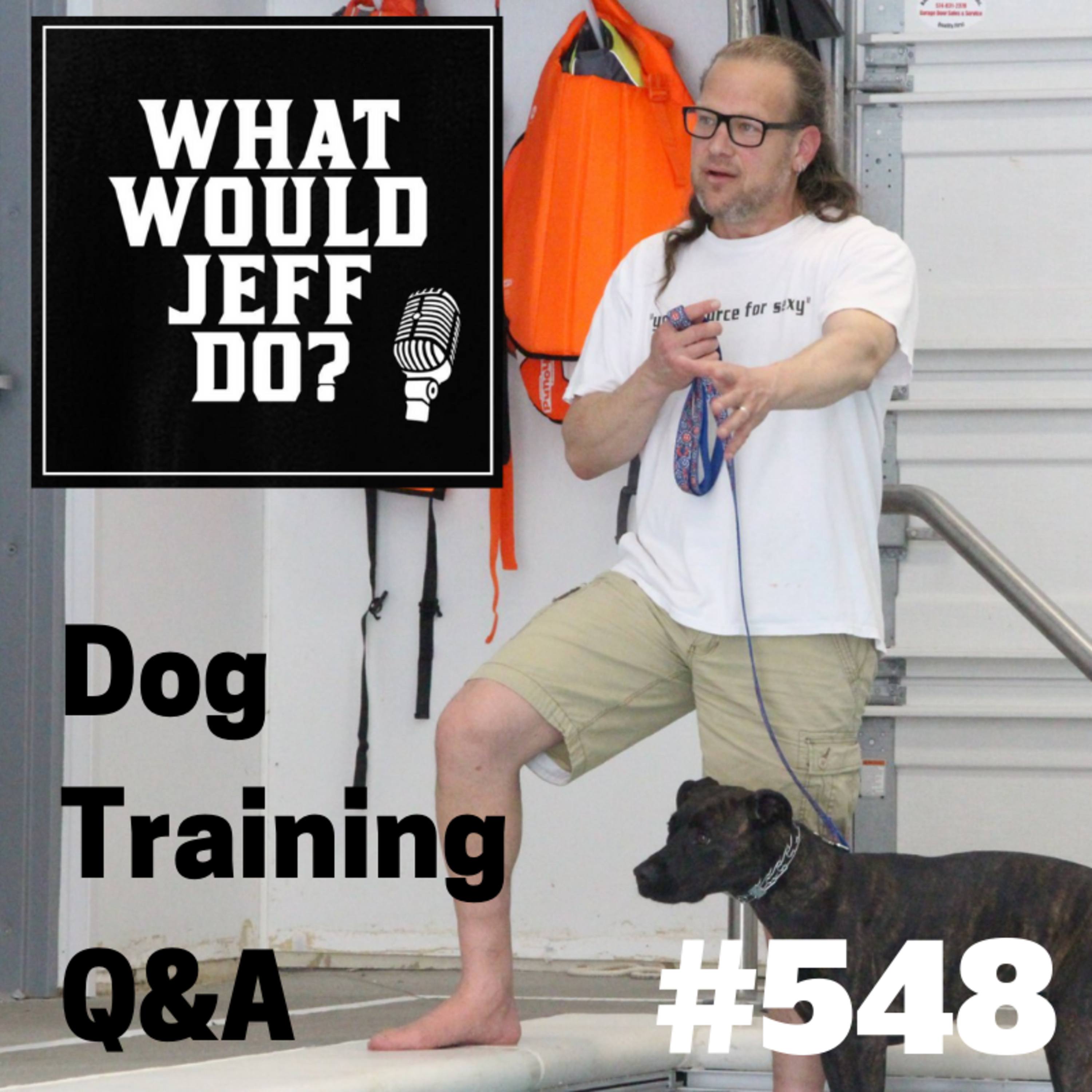 Dog Crate Training | Dog Reacts Around Windows | What Would Jeff Do? Dog Training Q & A #548 episode artwork