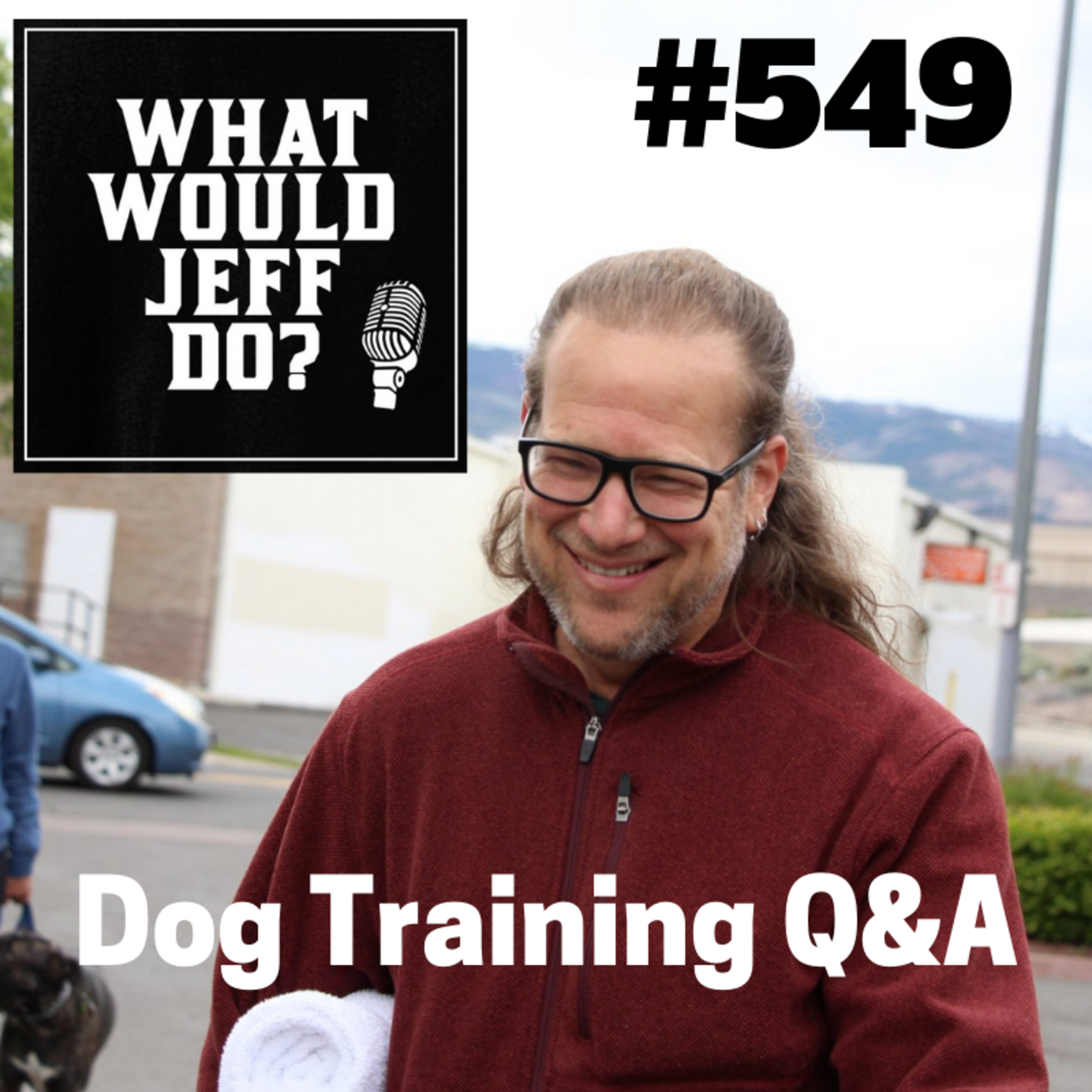 Stop dog Barking | Training a fearful dog | What Would Jeff Do? Dog Training Q & A #549 episode artwork