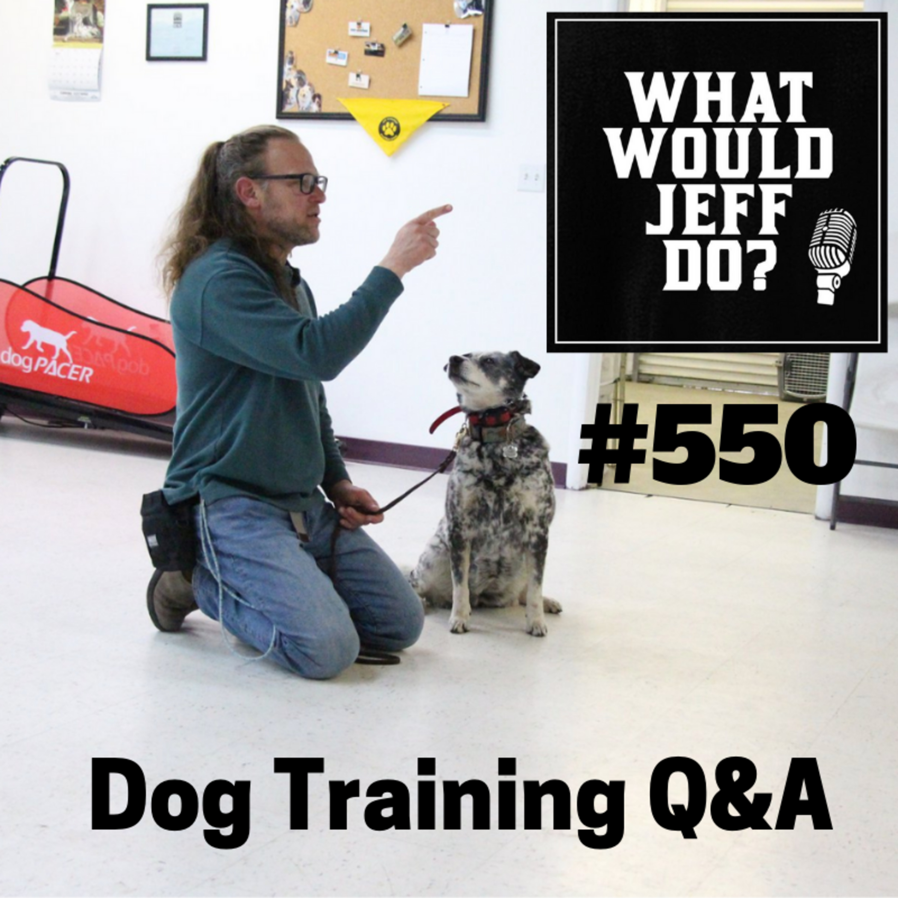 Dog Growling | Affection and aggressive dogs | What Would Jeff Do? Dog Training Q & A #550 episode artwork