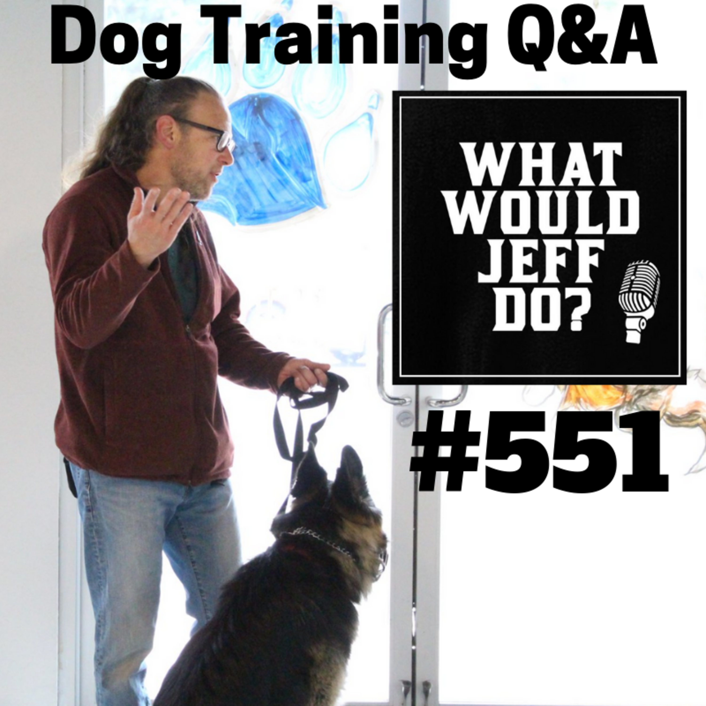 Scared Dog Training | Training a Puppy | What Would Jeff Do? Dog Training Q & A #551 episode artwork
