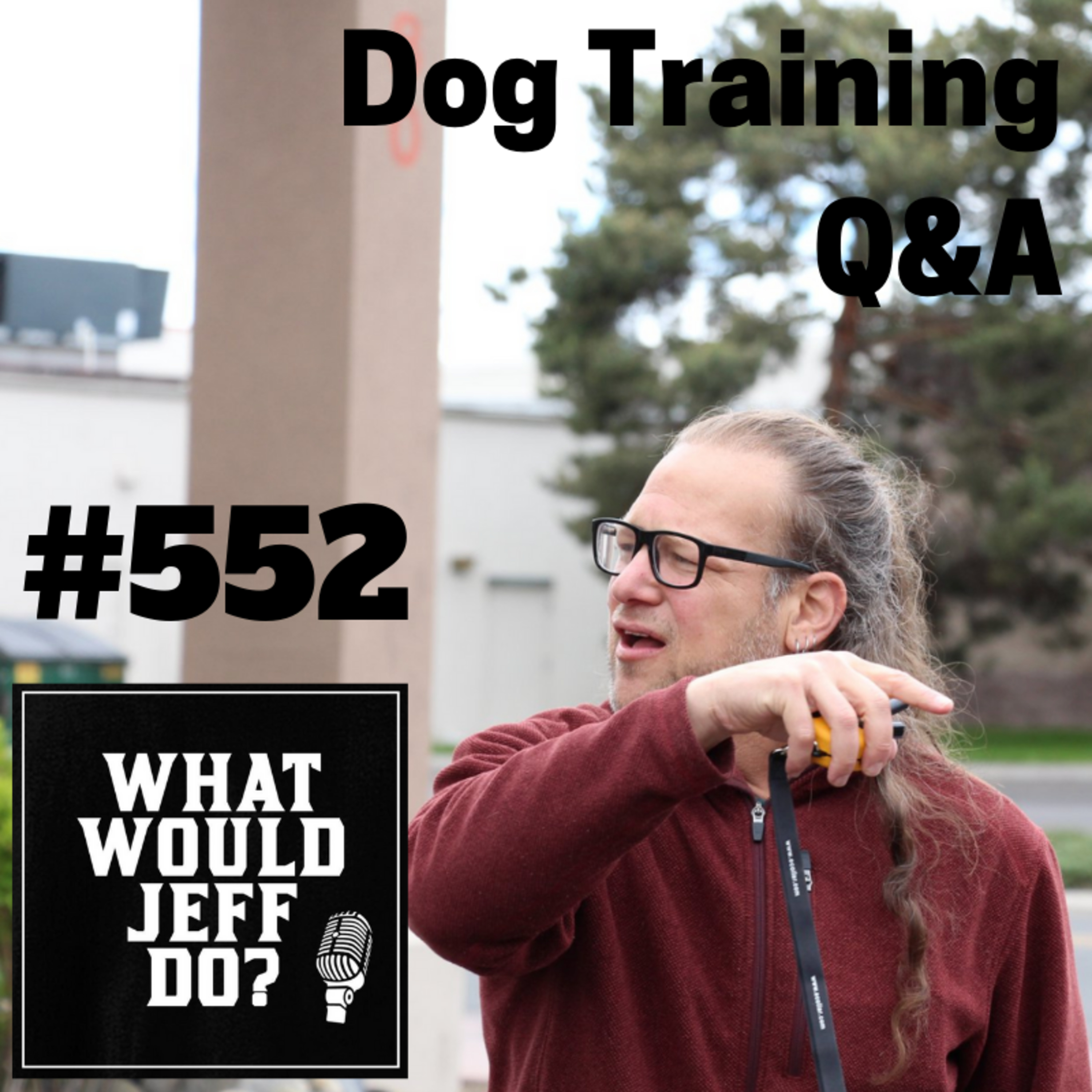 Dogs and Separation Anxiety | Stop Dog Whining | What Would Jeff Do? Dog Training Q & A #552 episode artwork