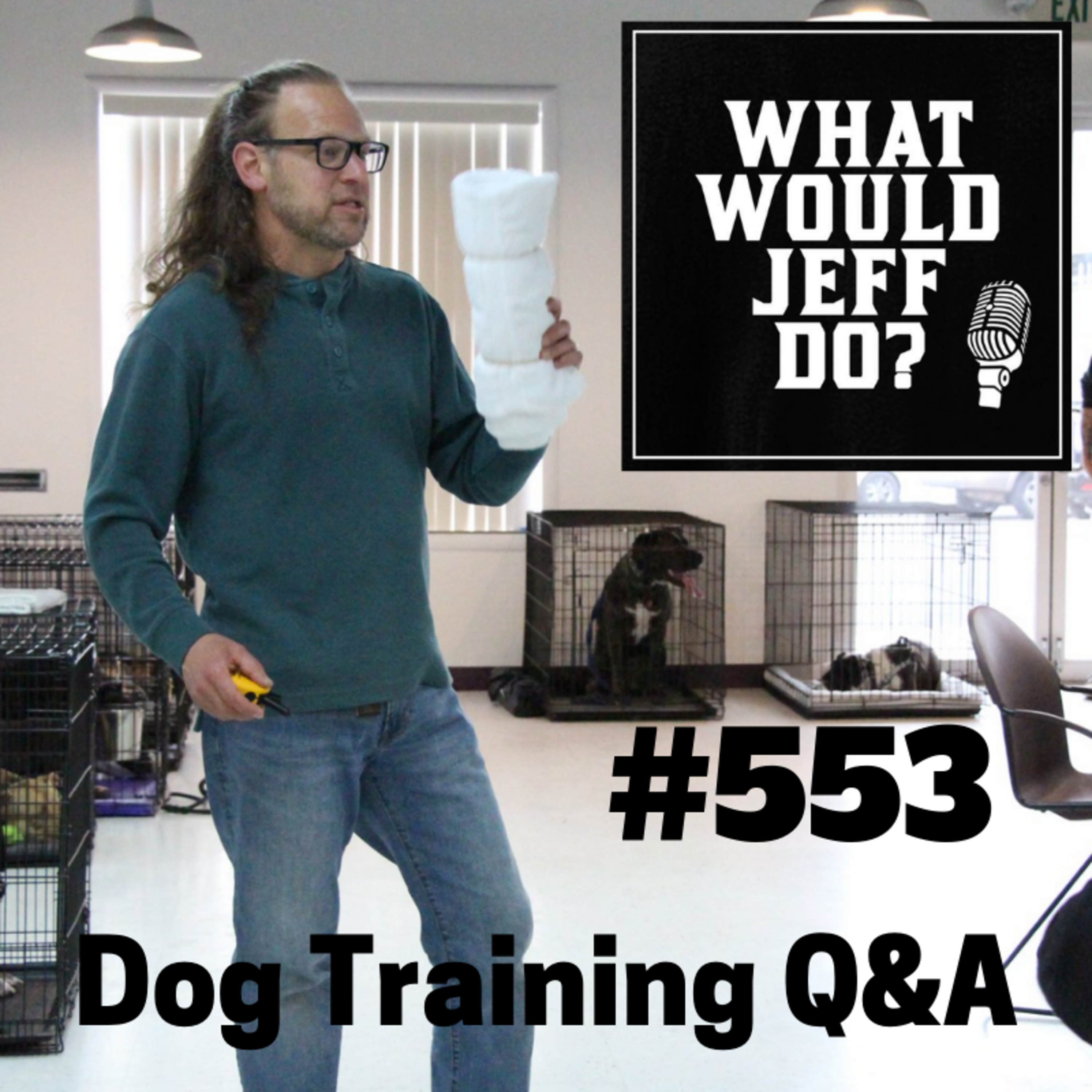 Dog Resource Guarding | Stop a Biting Dog | What Would Jeff Do? Dog Training Q & A #553 episode artwork