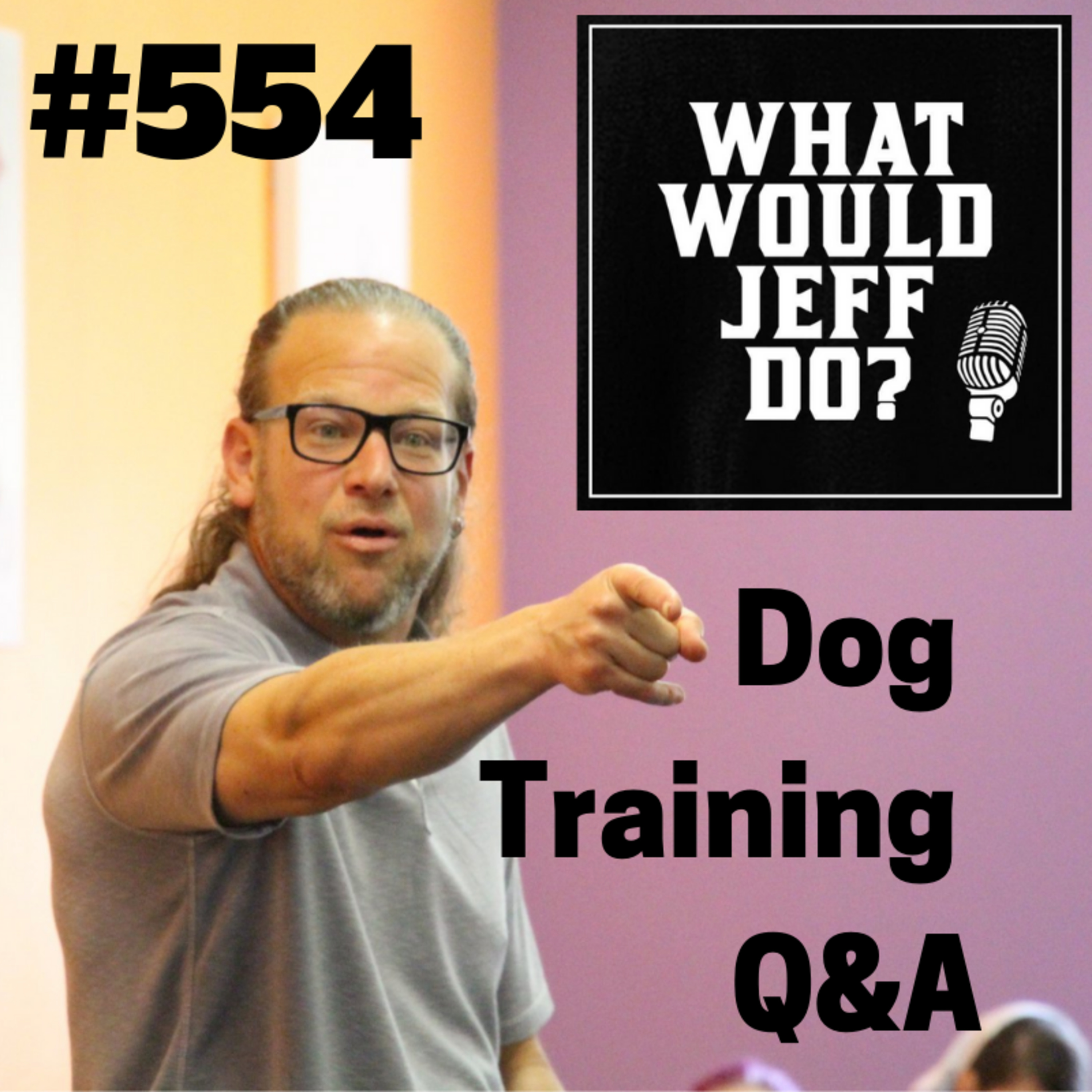 Dog Training - Leash Reactive Dog - Puppy Training - What Would Jeff Do? Q&A #554 (2019) episode artwork