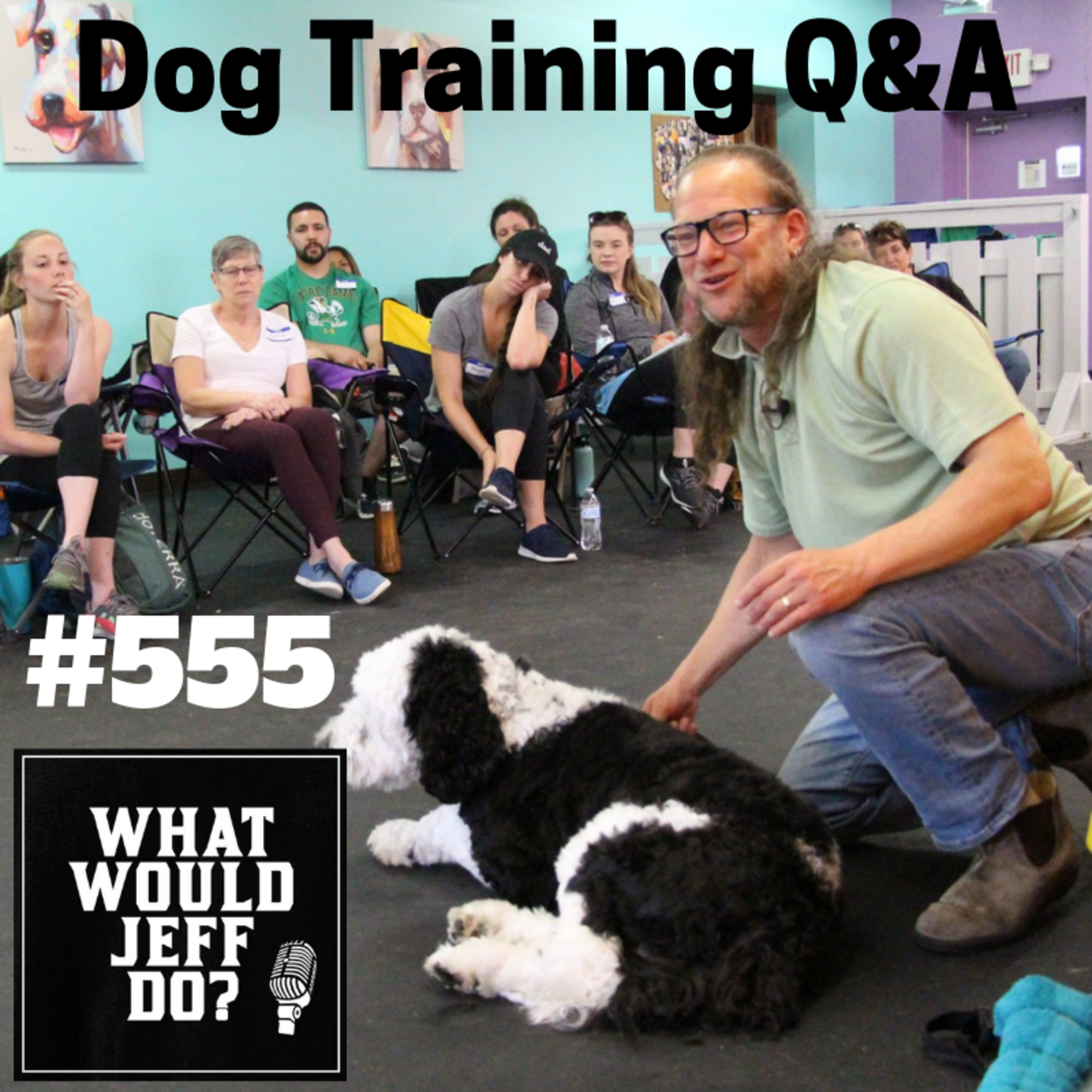 Dog Training - Whining Dogs - Training Fearful Dogs - What Would Jeff Do? Q&A Ep.555 (2019) episode artwork