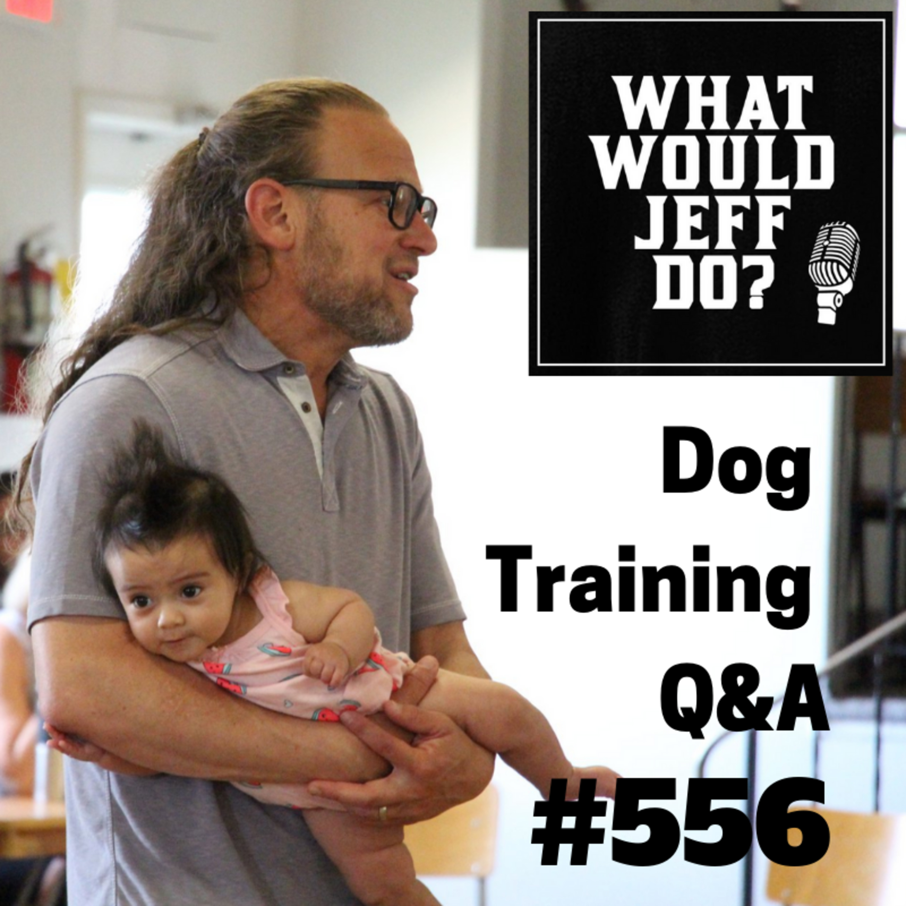 Dog Training - Foster Dog Training - Correcting a Puppy - What Would Jeff Do? Q&A Ep.556 (2019) episode artwork