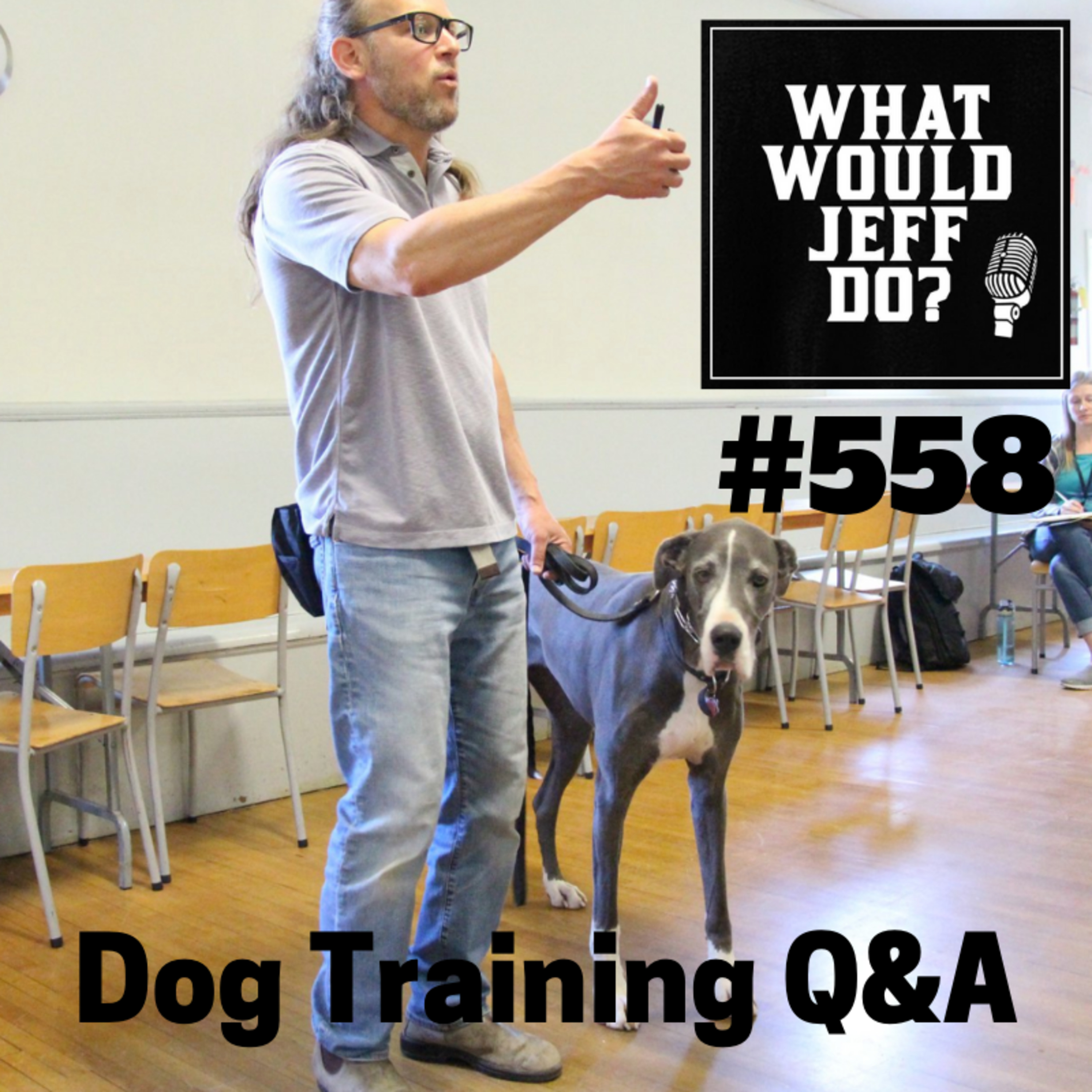 Dog Training - Dog Growling - Stop Dog Play Biting - What Would Jeff Do? Q&A Ep.558 (2019) episode artwork