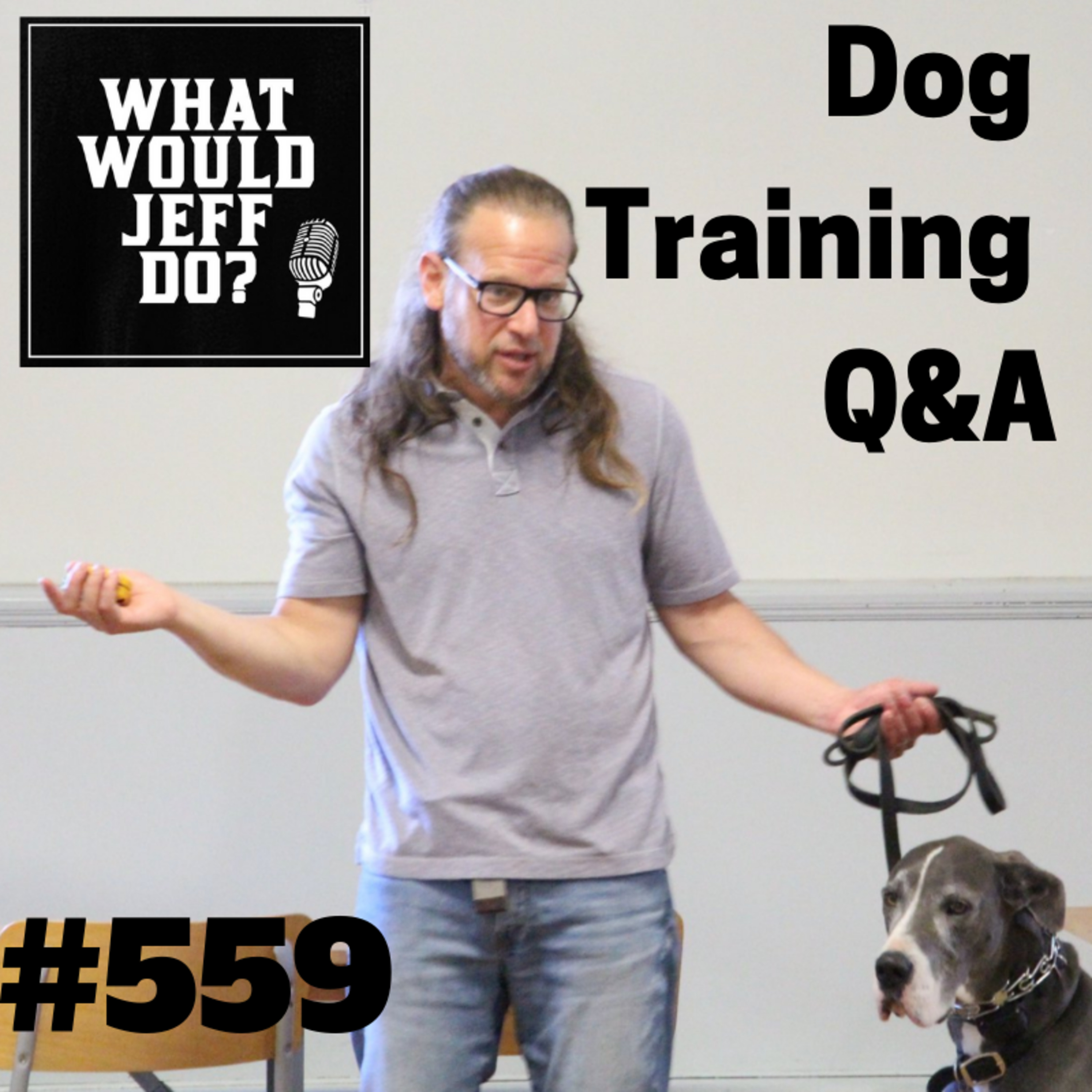 Dog Training - Malinois Dogs - Walking Dogs on a Leash - What Would Jeff Do? Q&A Ep.559 (2019) episode artwork