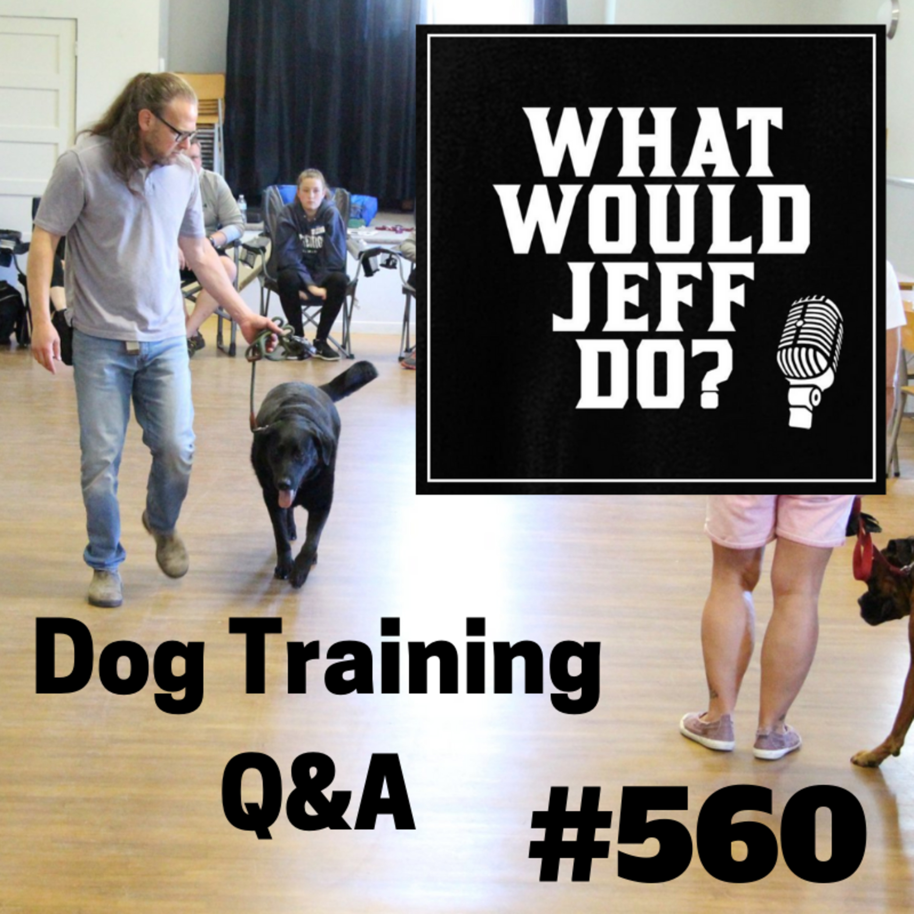 Dog Training - Leash Training Dogs - Swimming Dogs- What Would Jeff Do? Q&A Ep.560 (2019) episode artwork