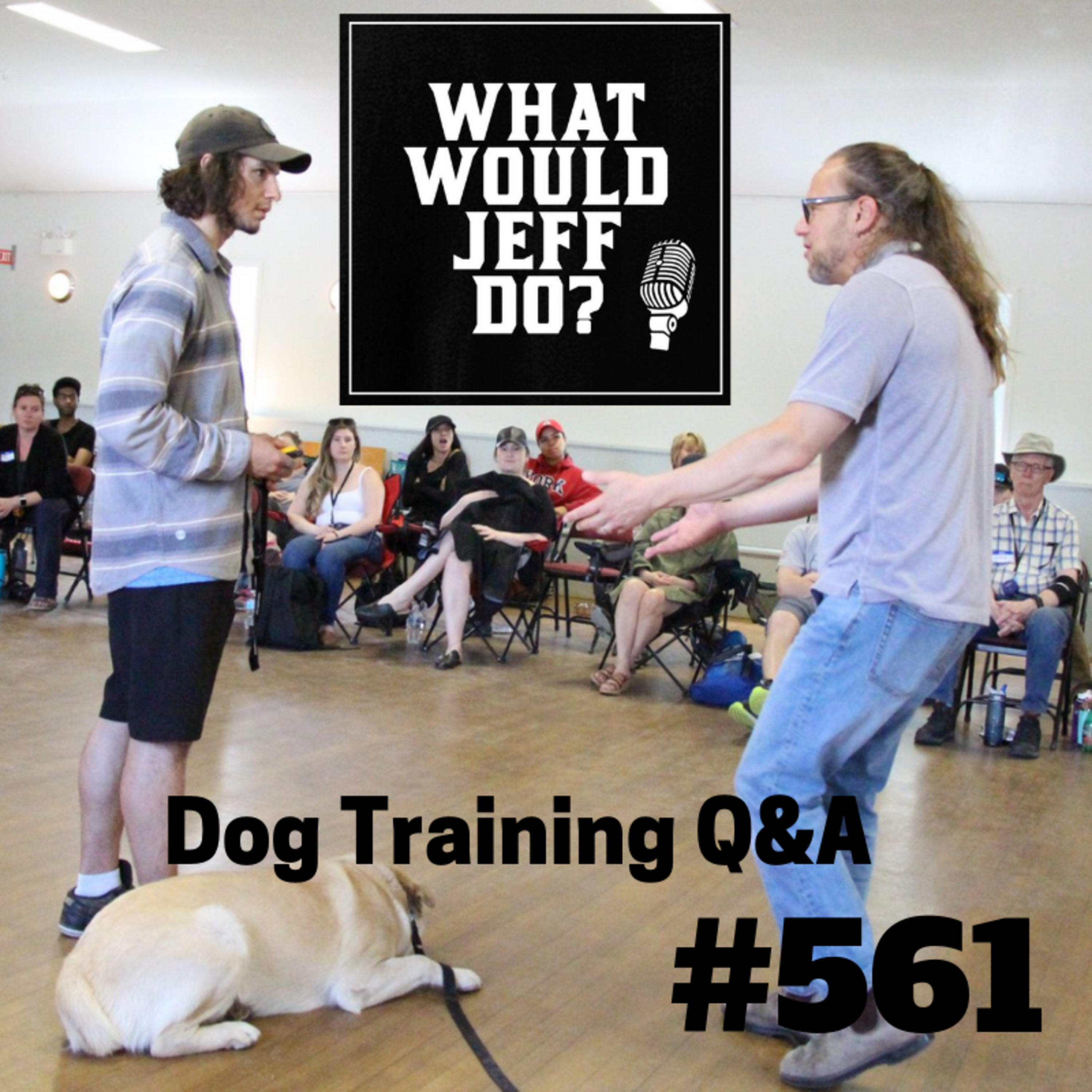 Dog Training - Dog Guarding - Training a Cowering Dog - What Would Jeff Do? Q&A Ep.561 (2019) episode artwork