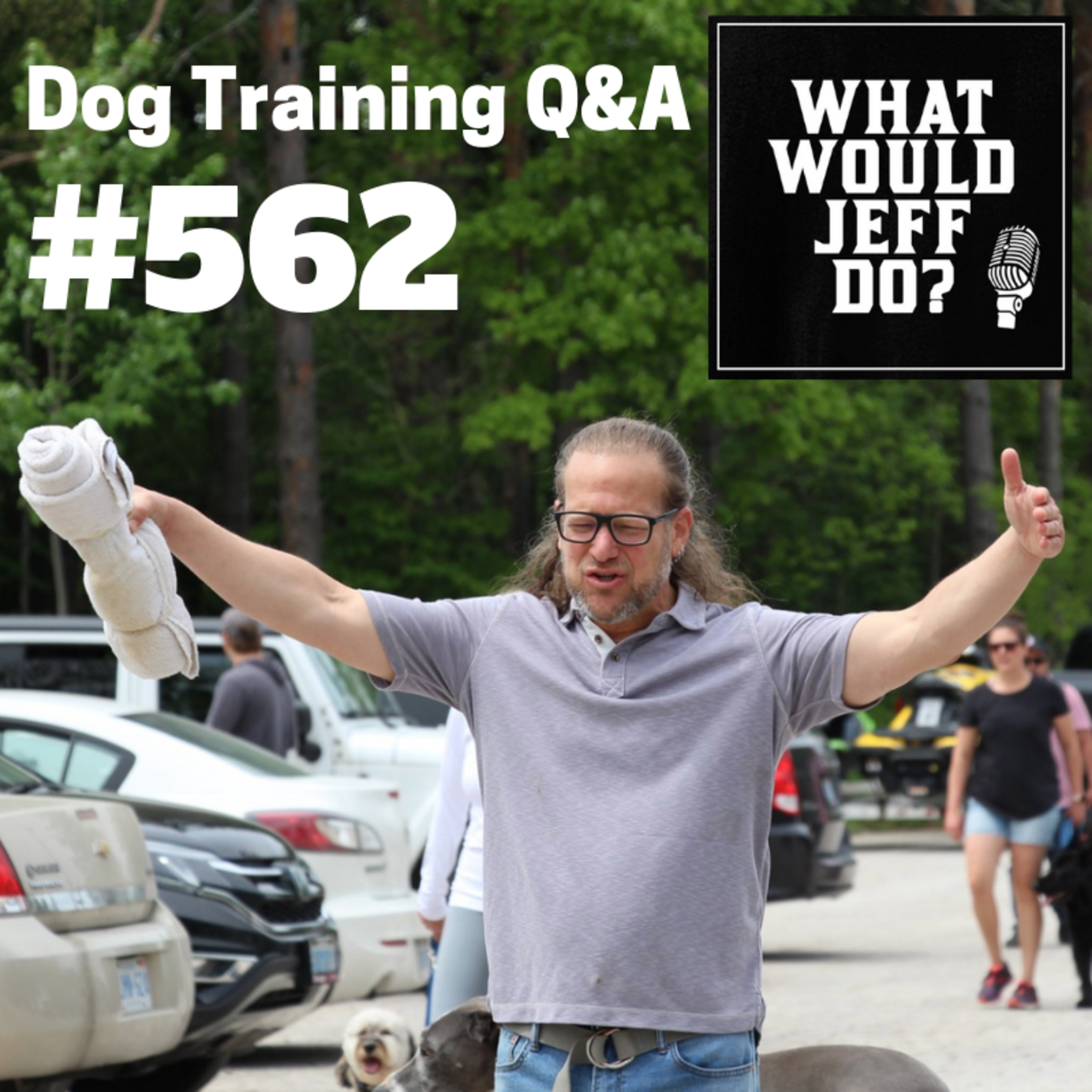 Dog Training - Training Puppies - Fearful Dog Training - What Would Jeff Do? Q&A Ep.562 (2019) episode artwork