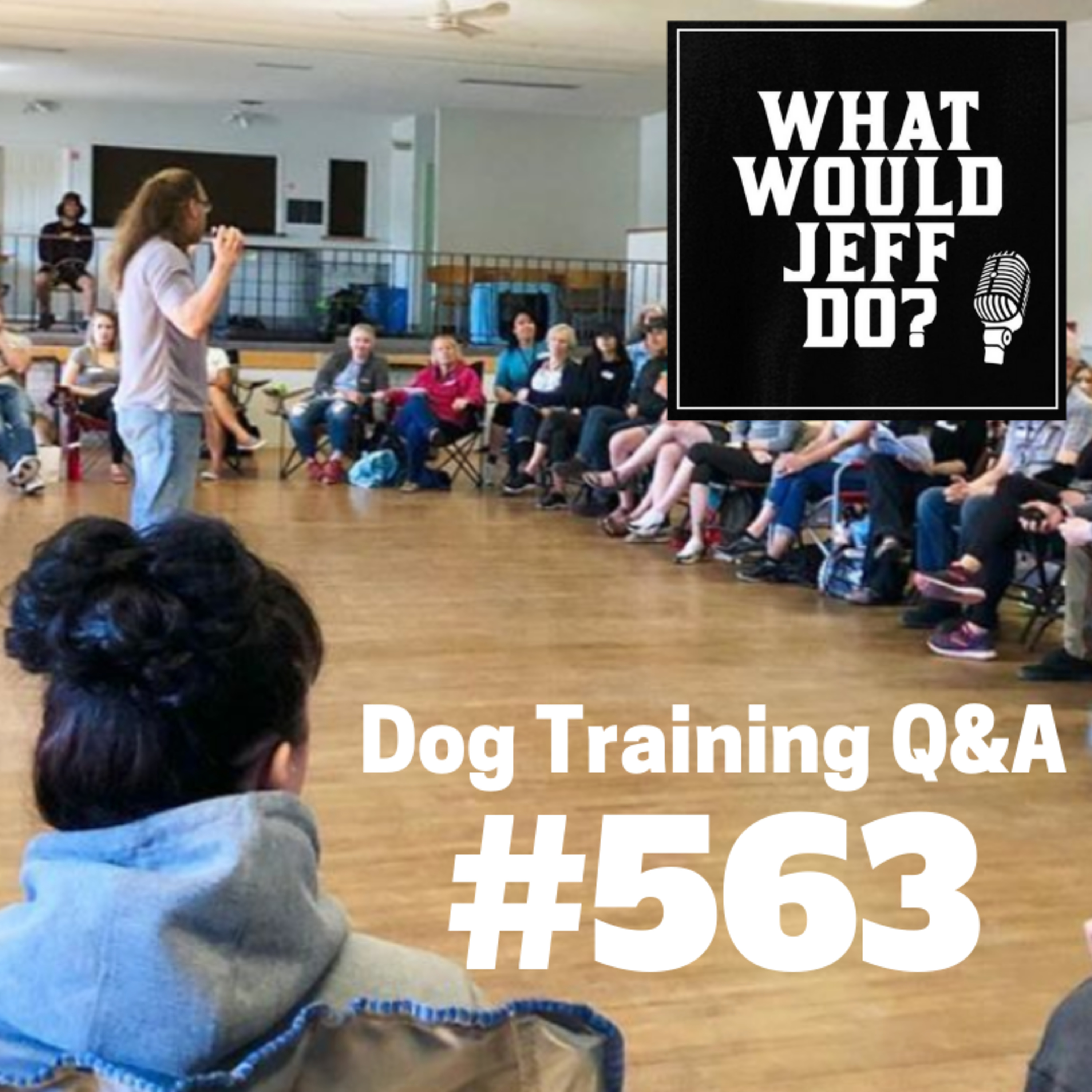 Dog Training - Training Puppies - Growling Dogs - What Would Jeff Do? Q&A Ep.563 (2019) episode artwork