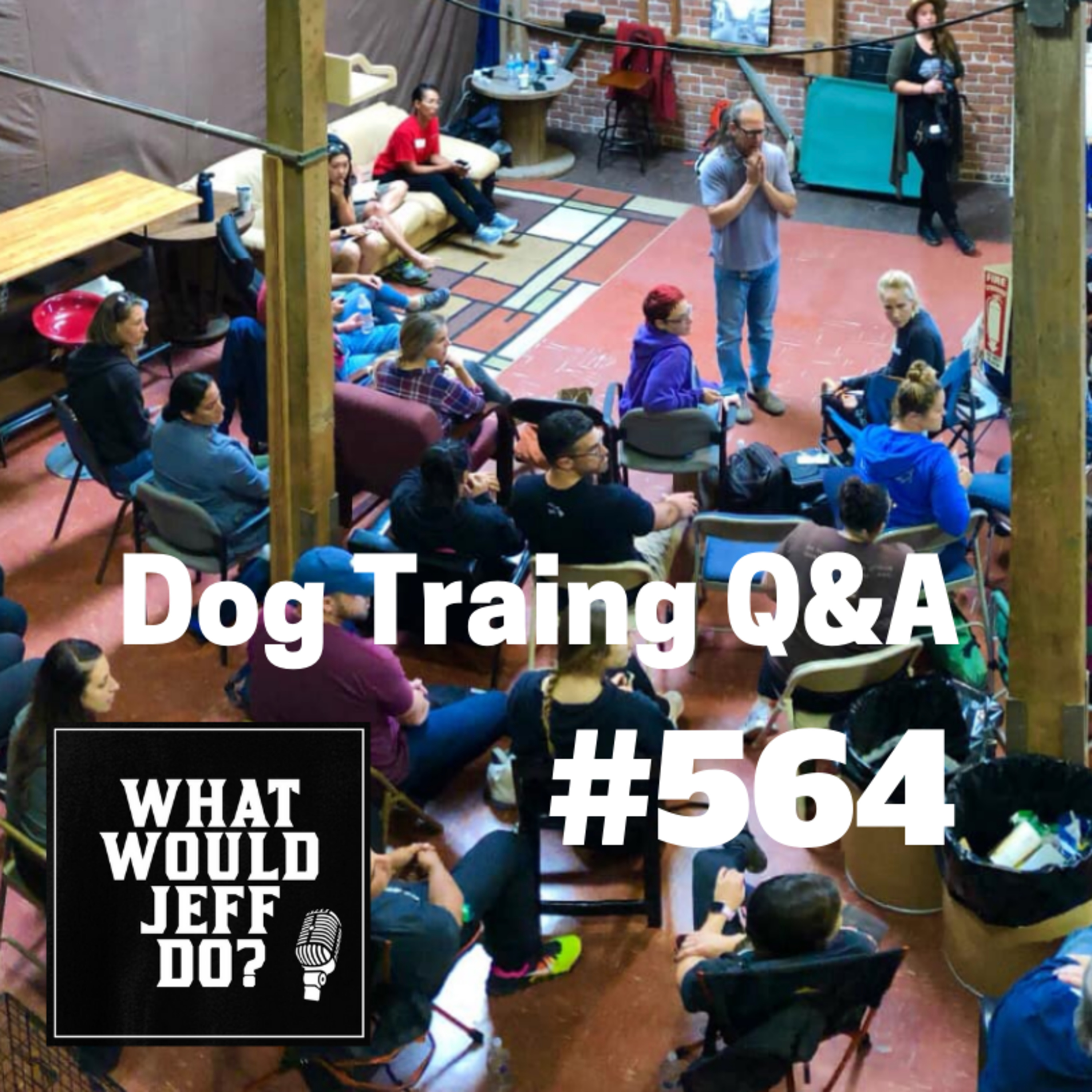 Dog Training - Aggressive Dog - Playing with Puppies - What Would Jeff Do? Q&A Ep.564 (2019)
