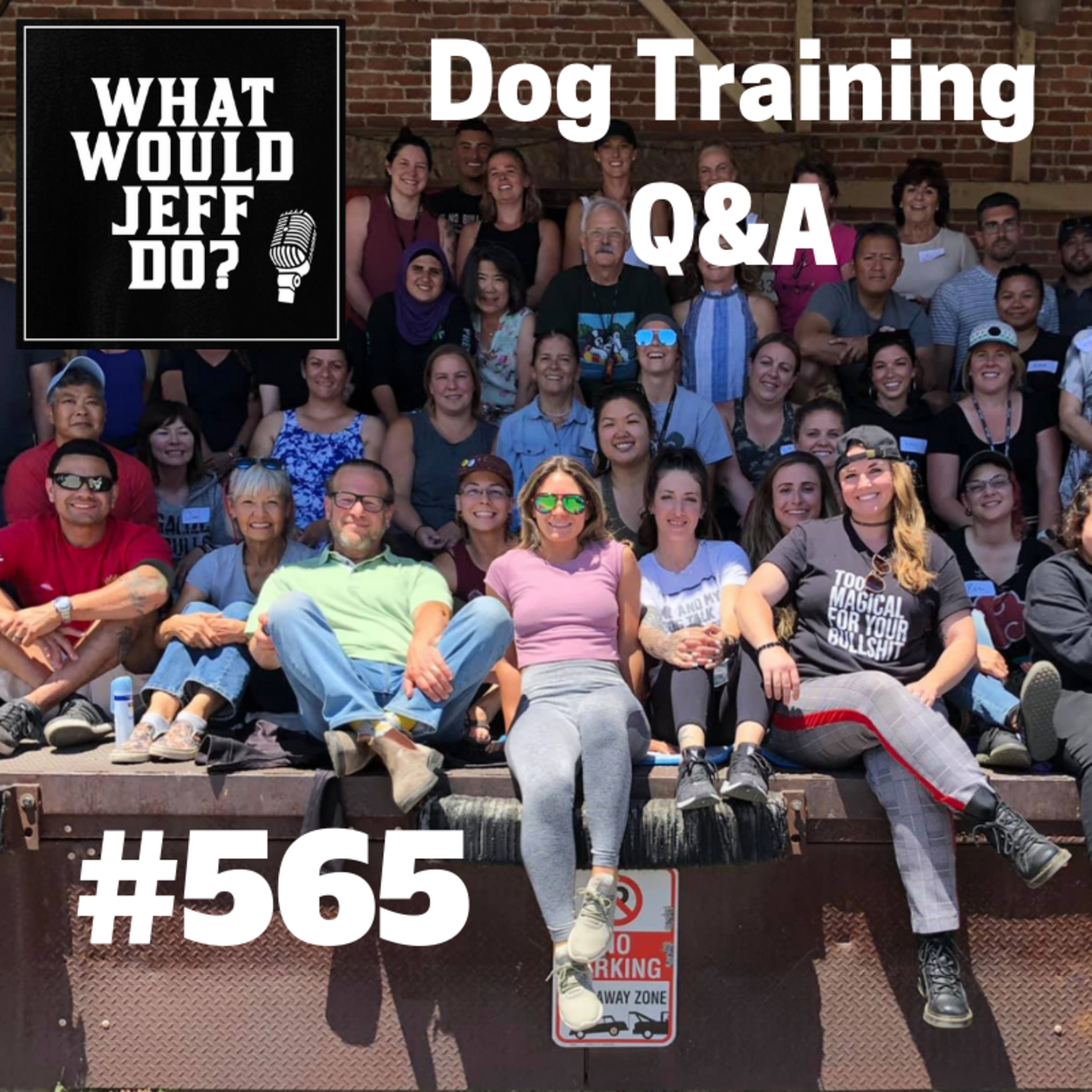Dog Training - Puppy Training - Dog in Heat - What Would Jeff Do? Q&A Ep.565 (2019) episode artwork