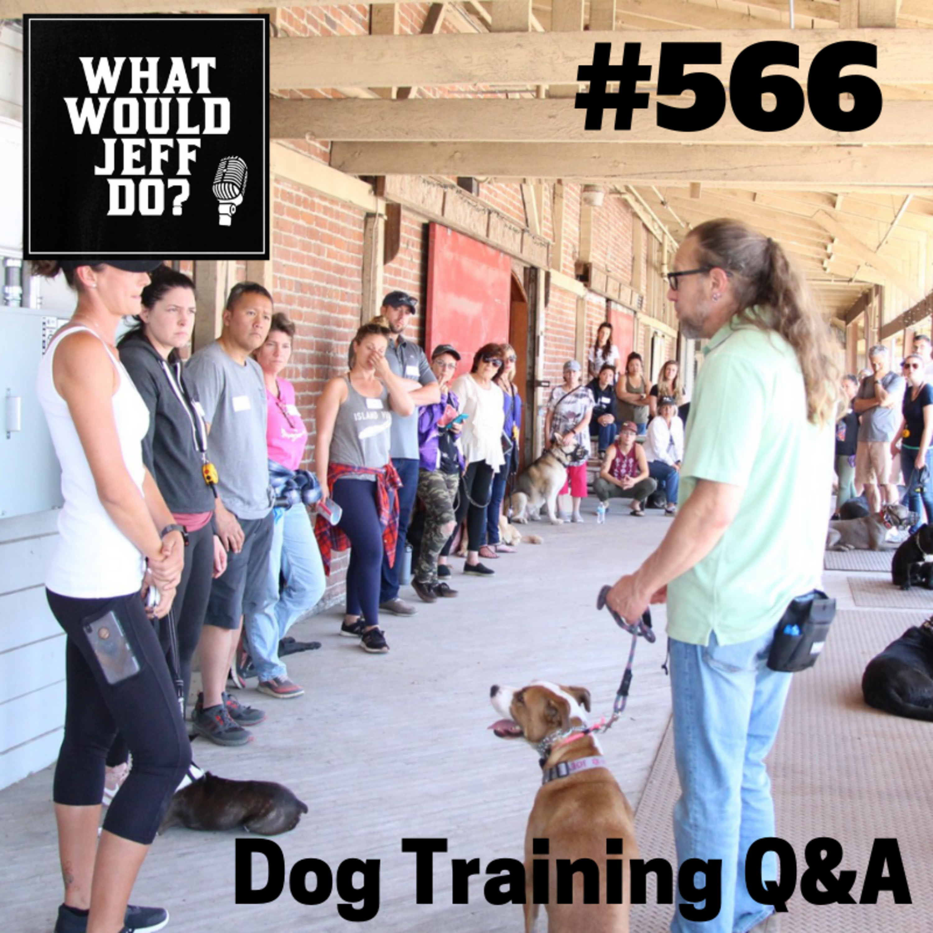 Dog Training - Kids and Dogs - Low Stress Dog - What Would Jeff Do? Q&A Ep.566 (2019) episode artwork