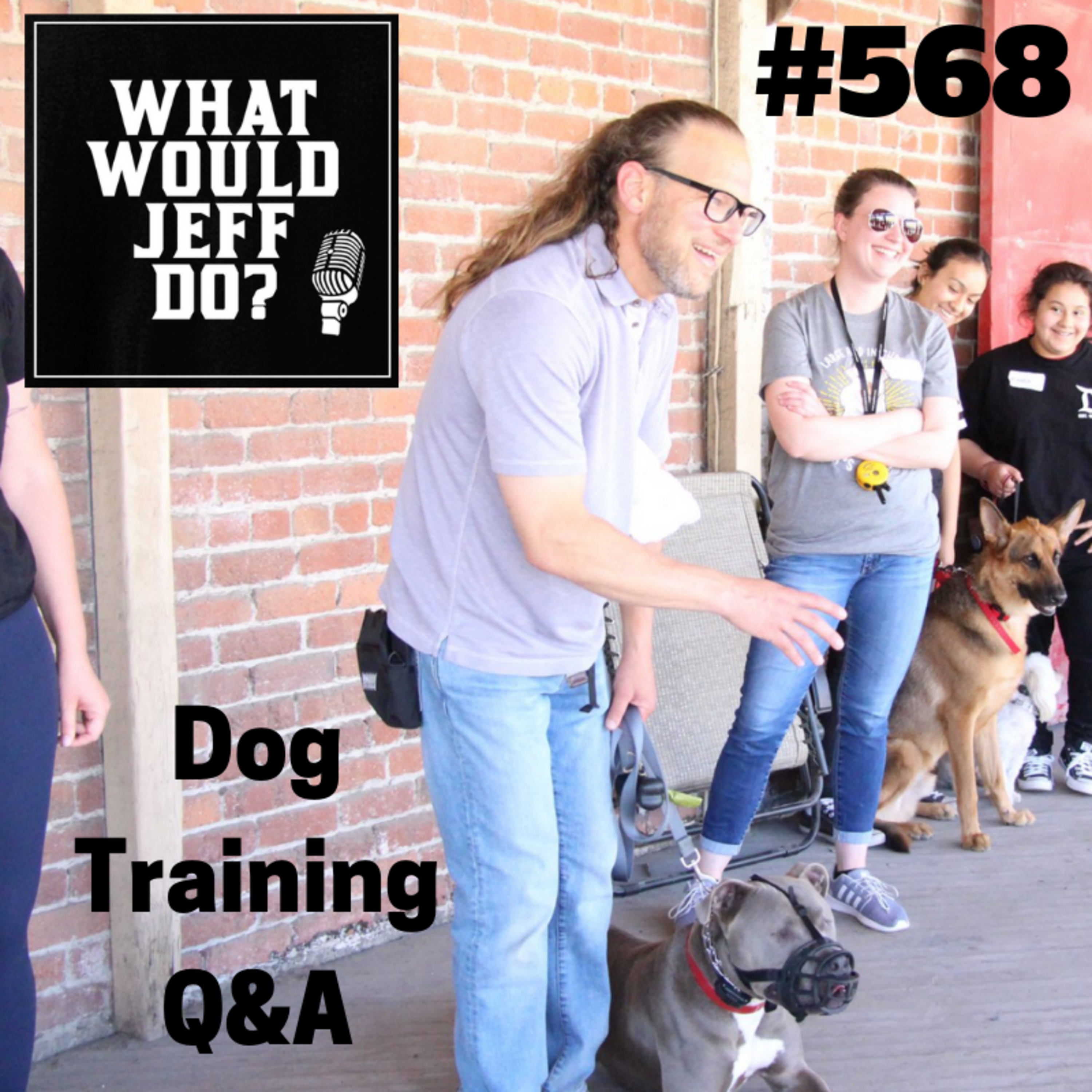 Dog Training - Stop Dog Barking - Puppy Training Tips - What Would Jeff Do? Q&A Ep.568 (2019) episode artwork
