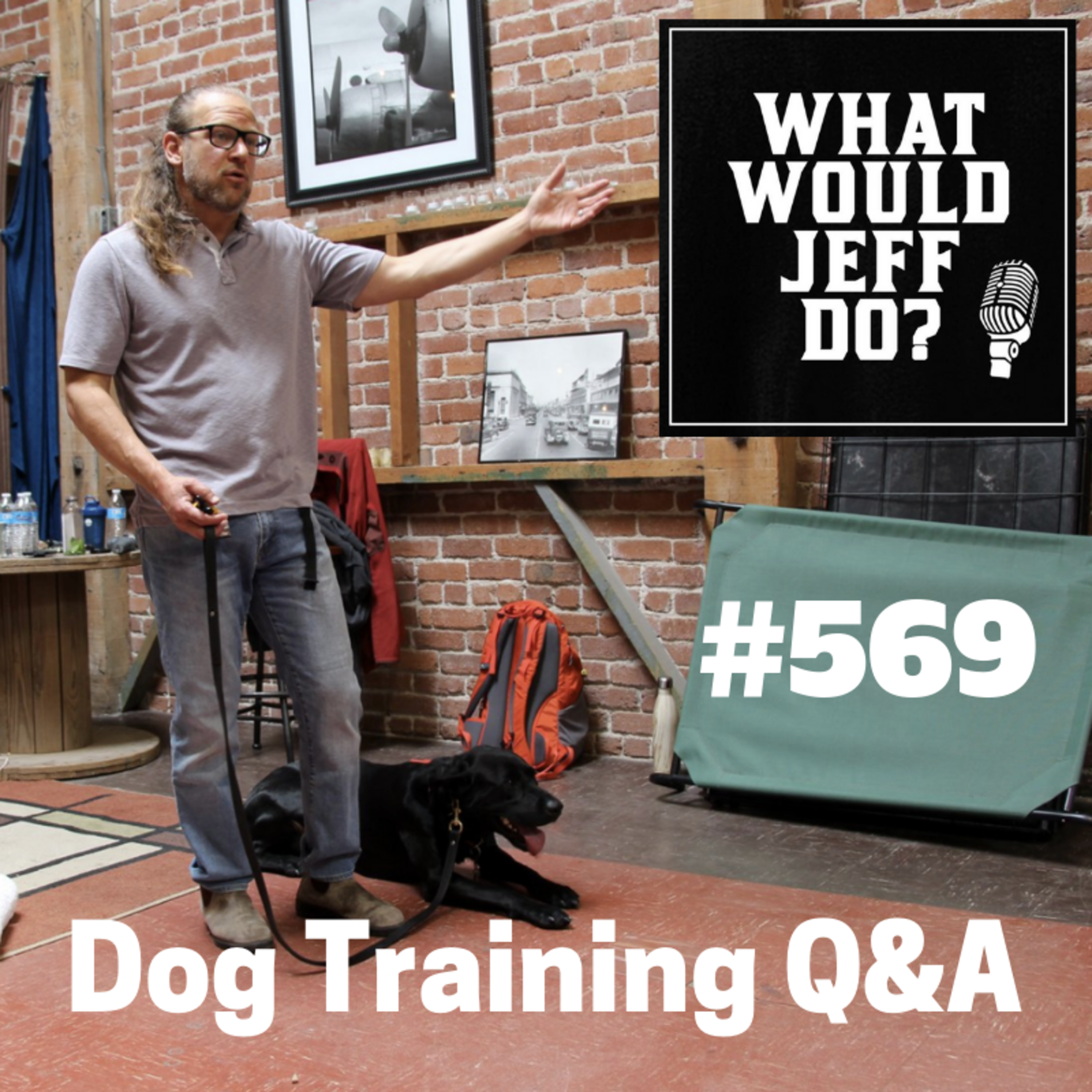 Dog Training - Stop Dog Marking - Hyper Puppy - What Would Jeff Do? Q&A Ep.569 (2019) episode artwork