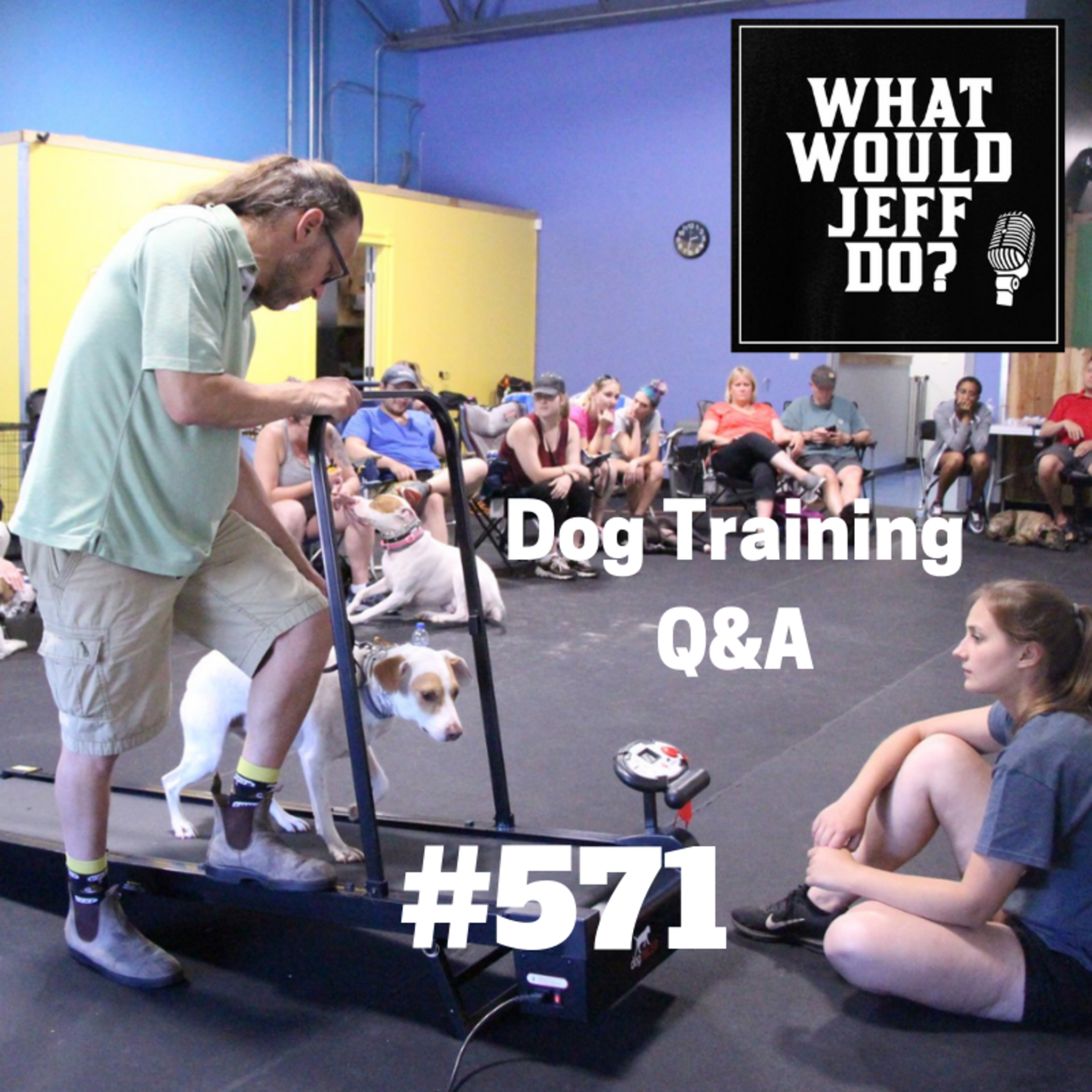 Dog Training - Fearful Nervous Puppy - Dog Jumping - What Would Jeff Do? Q&A Ep.571 (2019) episode artwork