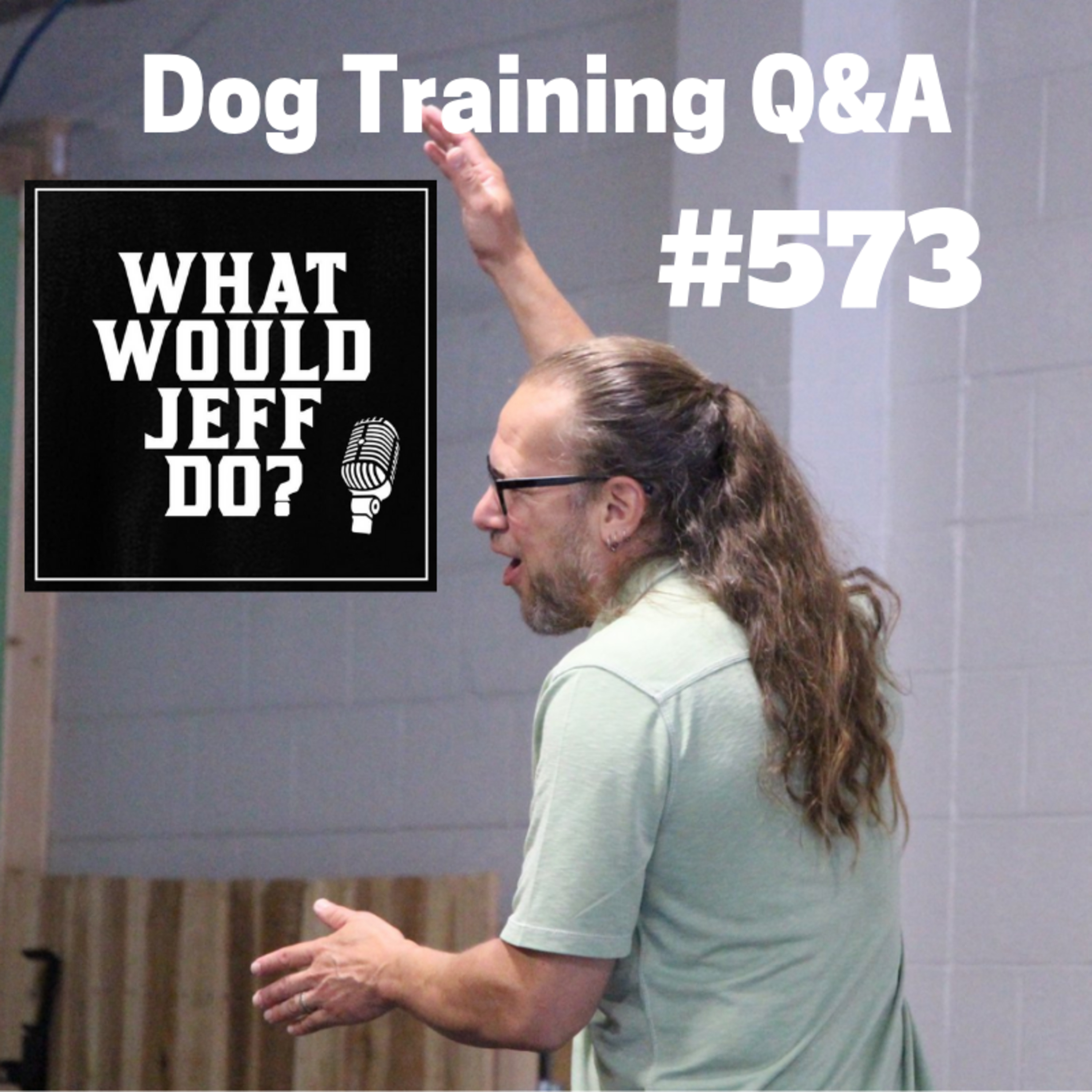 Dog Training - Training Nervous Dogs - Stop Dog Marking - What Would Jeff Do? Q&A Ep.573 (2019) episode artwork